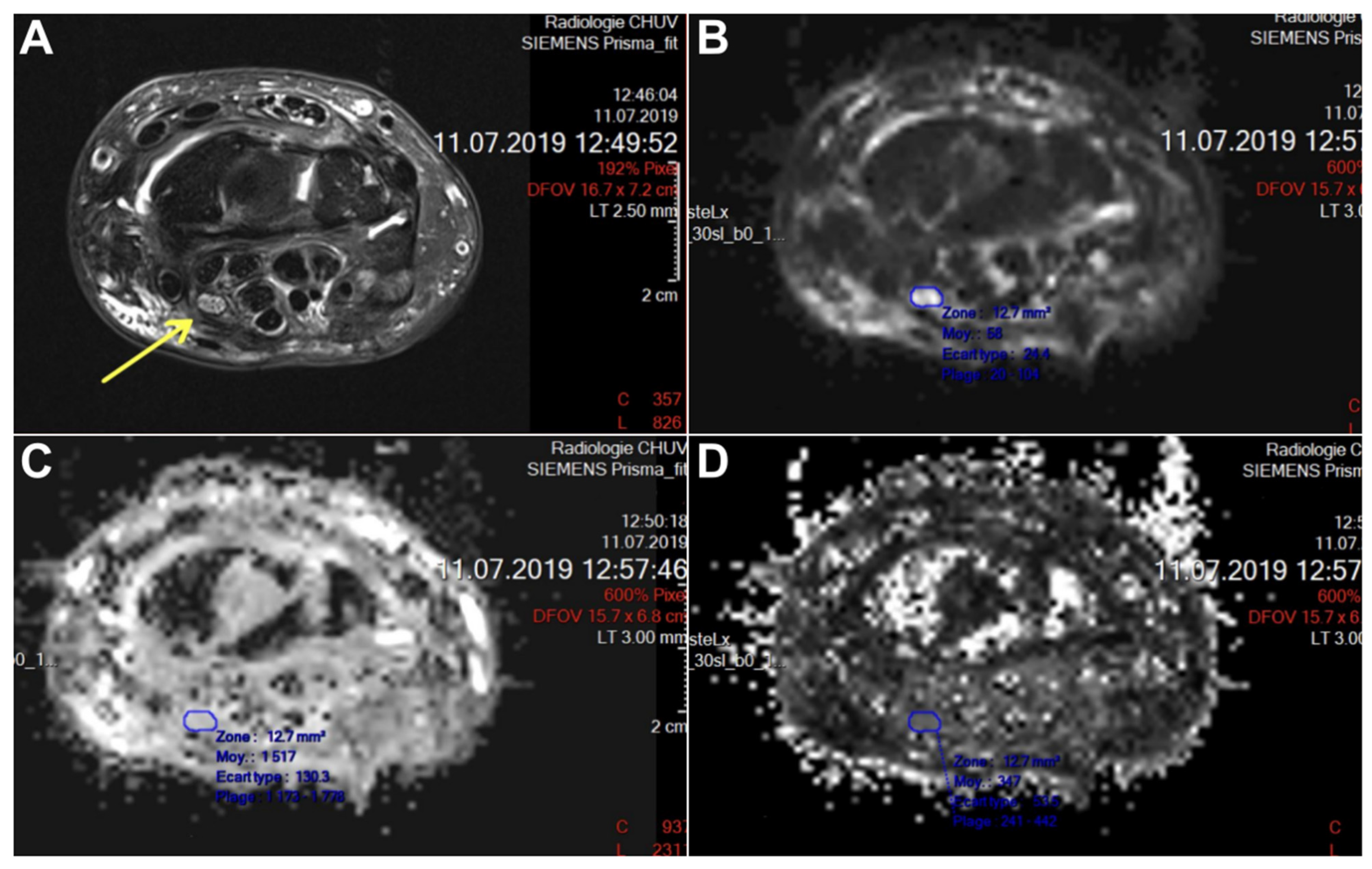 Neurolint 16 00078 g003