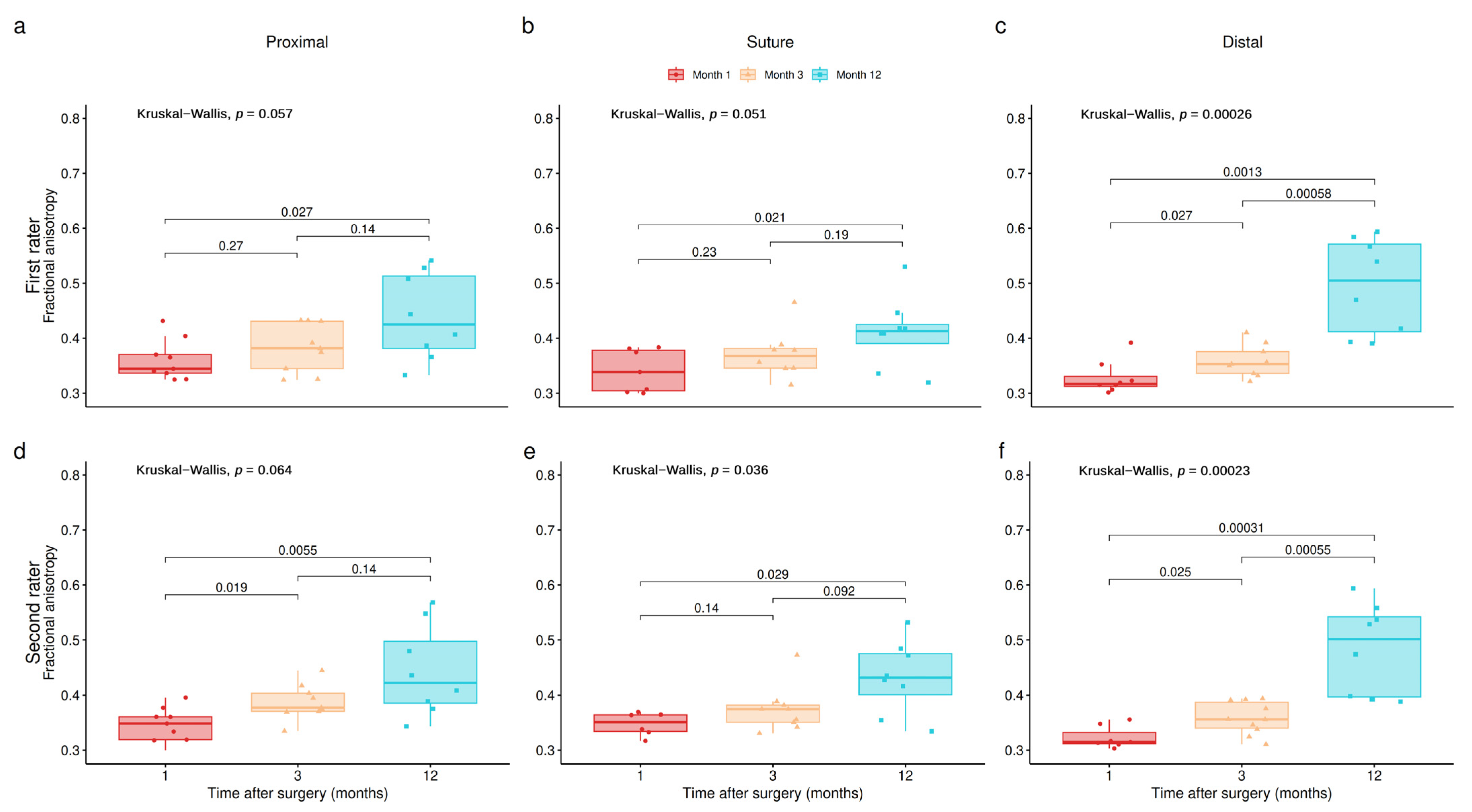Neurolint 16 00078 g004