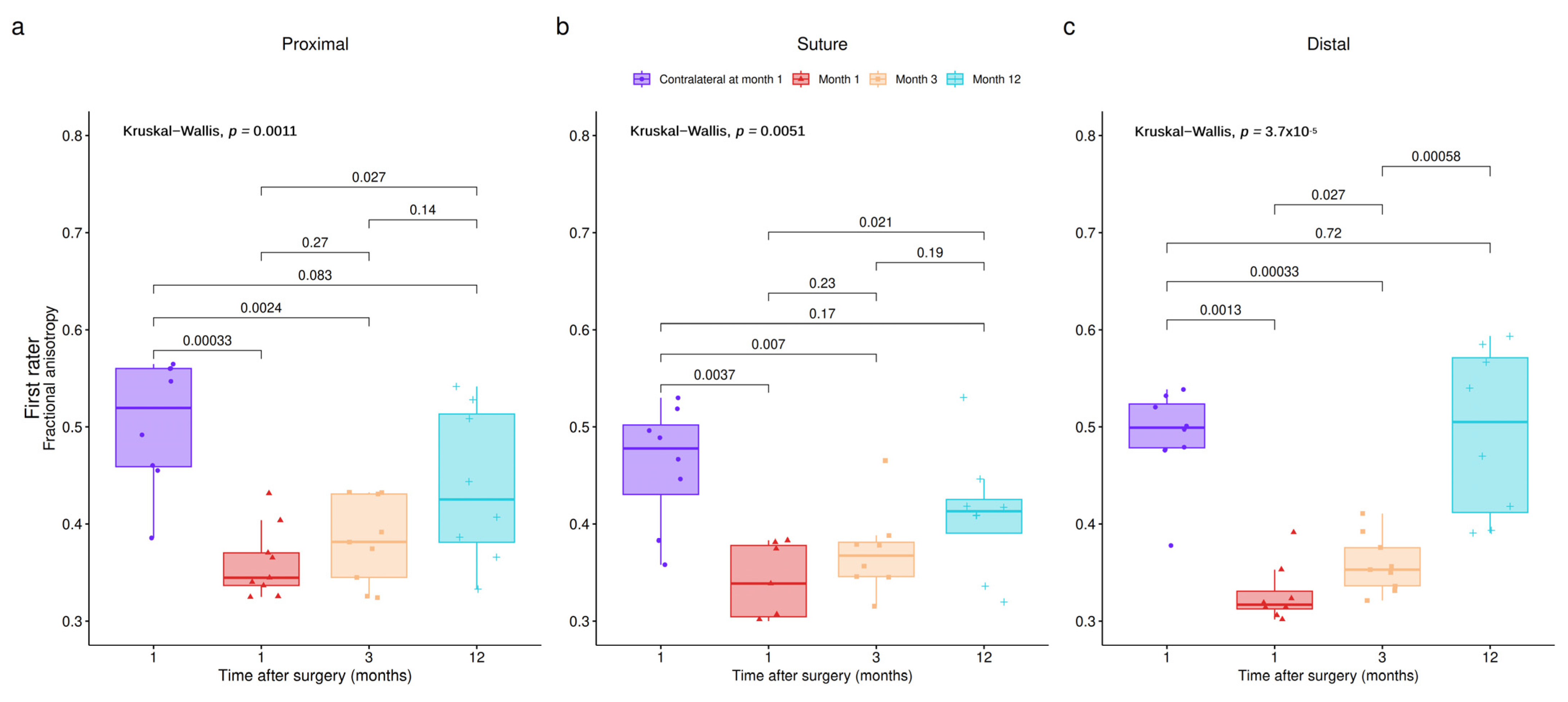 Neurolint 16 00078 g005