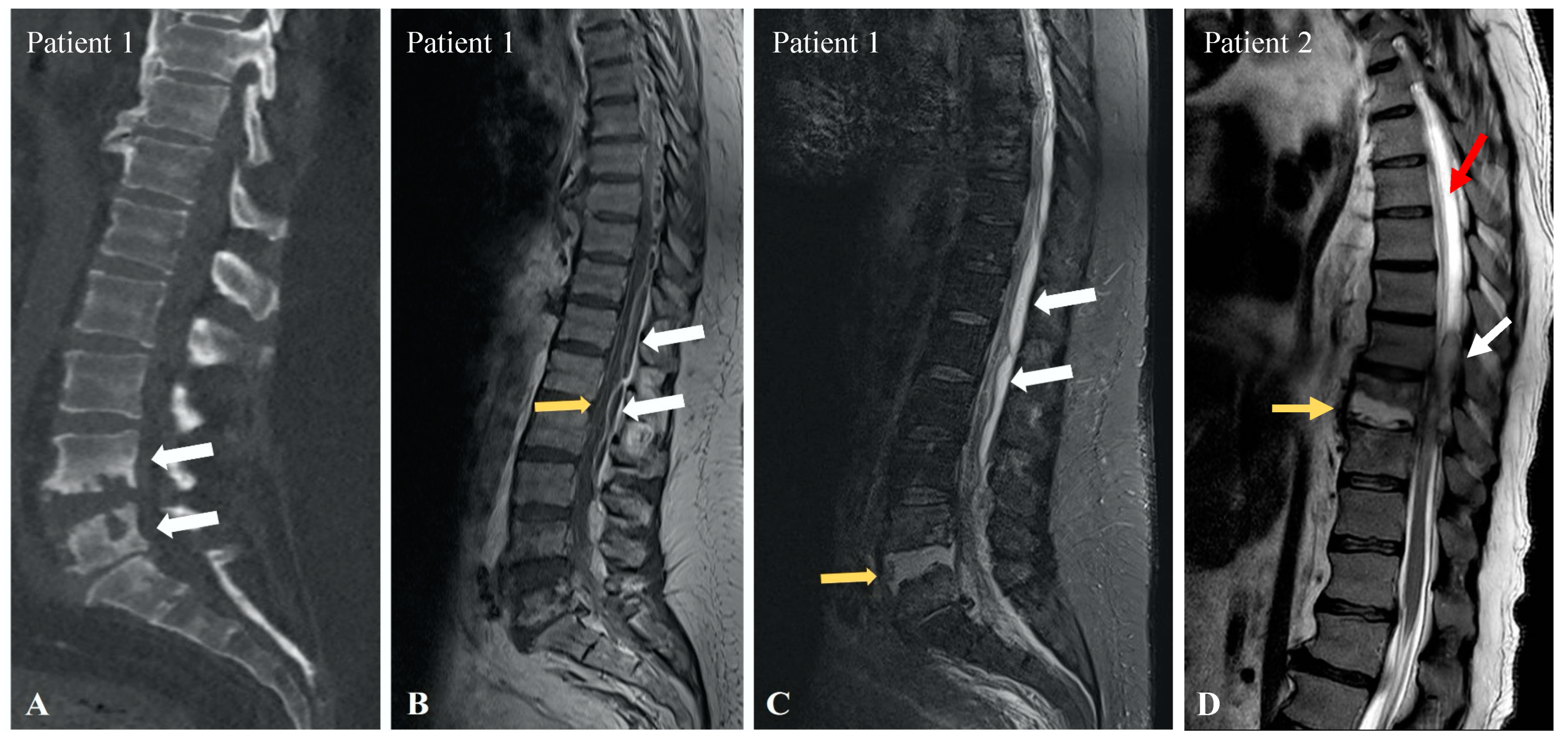 Neurolint 16 00083 g003