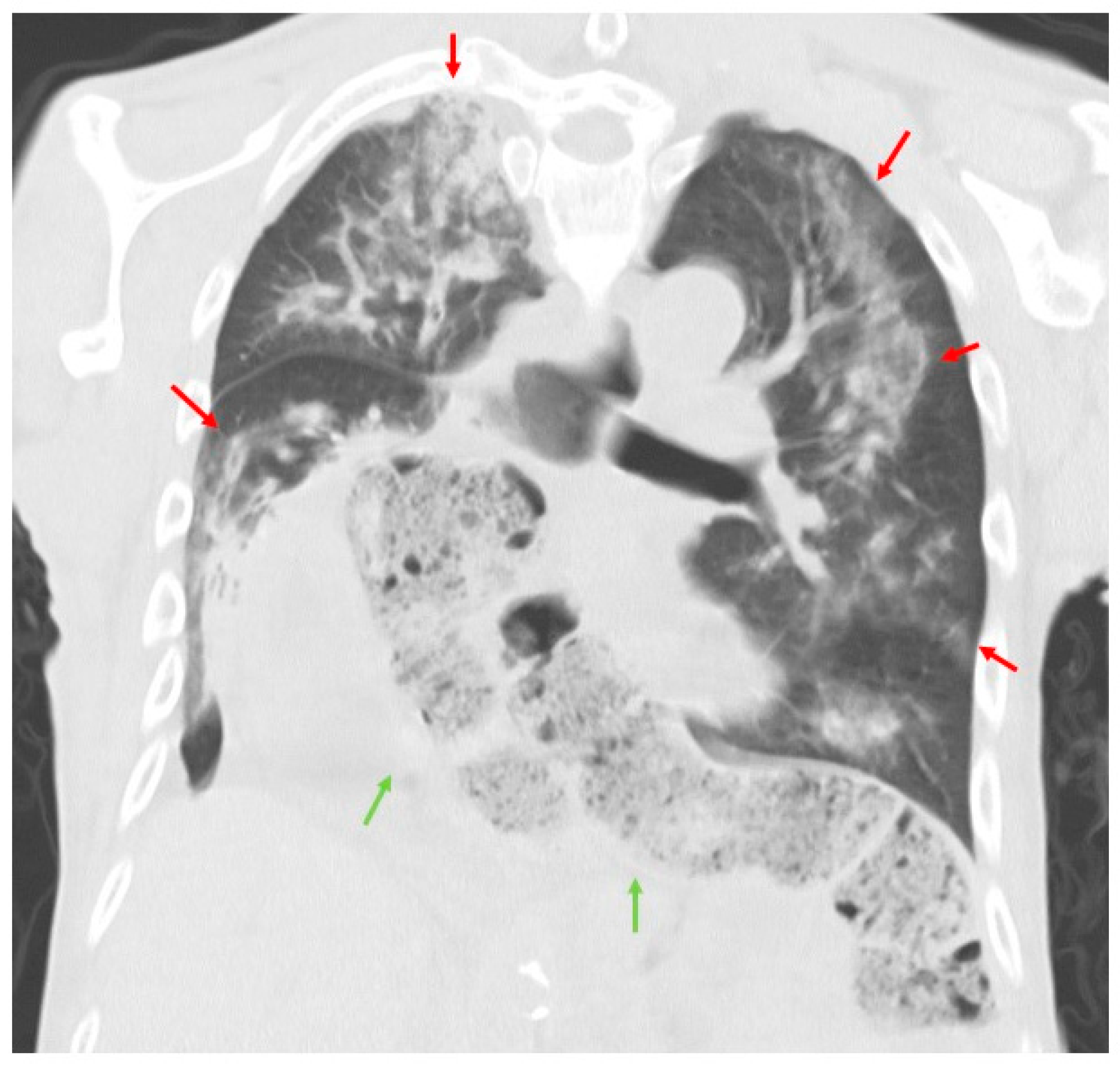 Neurolint 16 00085 g002