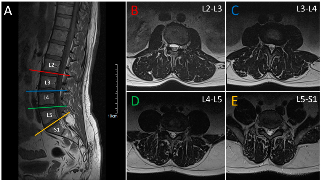 Neurolint 16 00102 g001 Neurolint 16 00102 g001