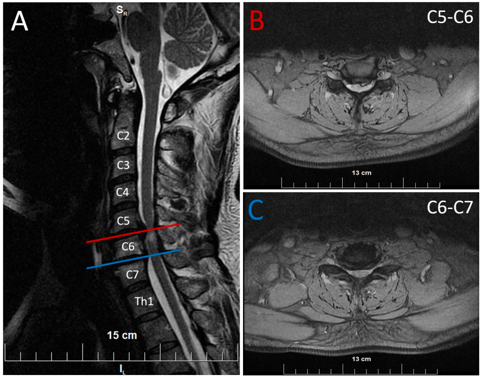 Neurolint 16 00102 g002 Neurolint 16 00102 g002