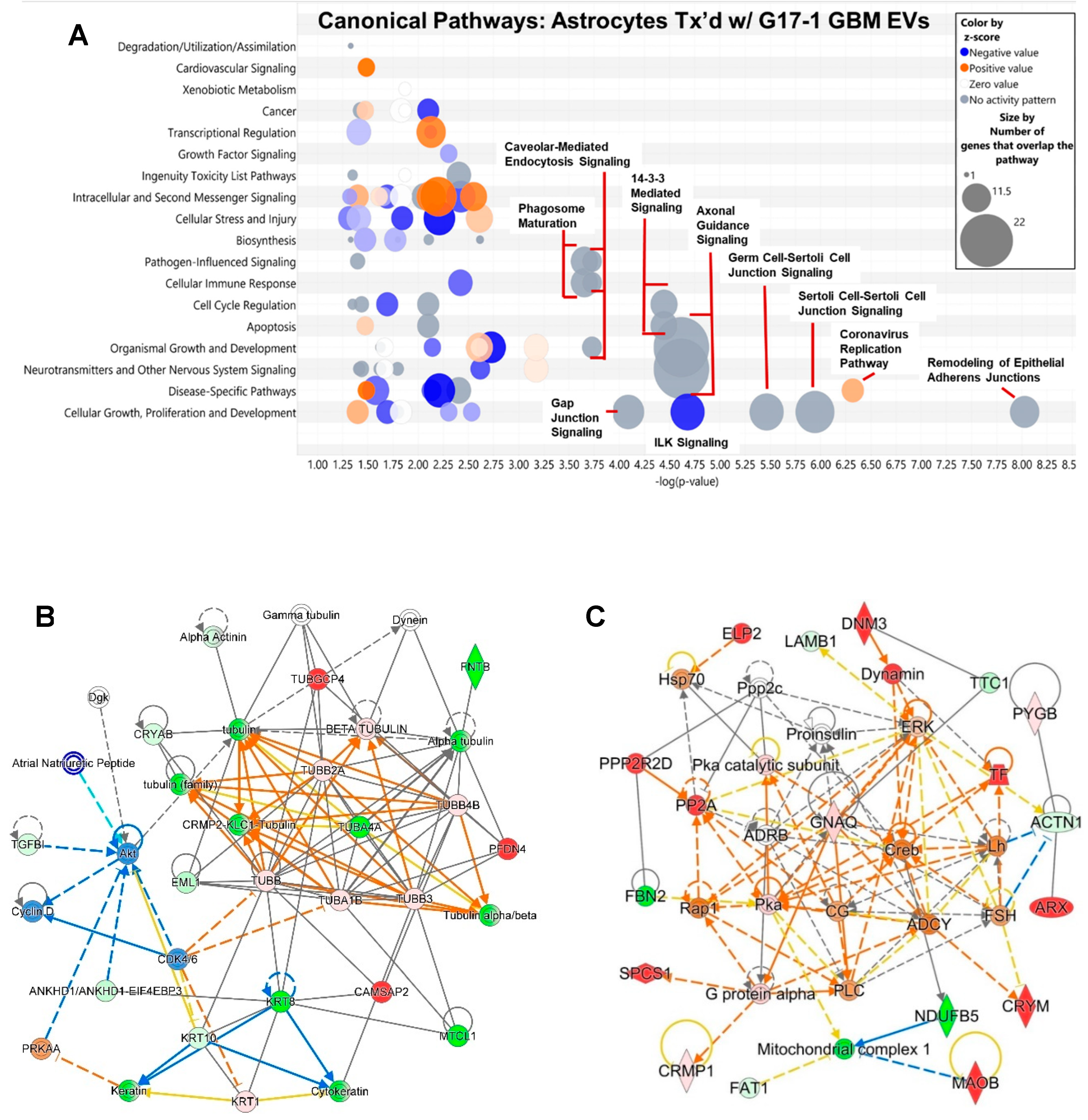 Neurolint 16 00103 g003