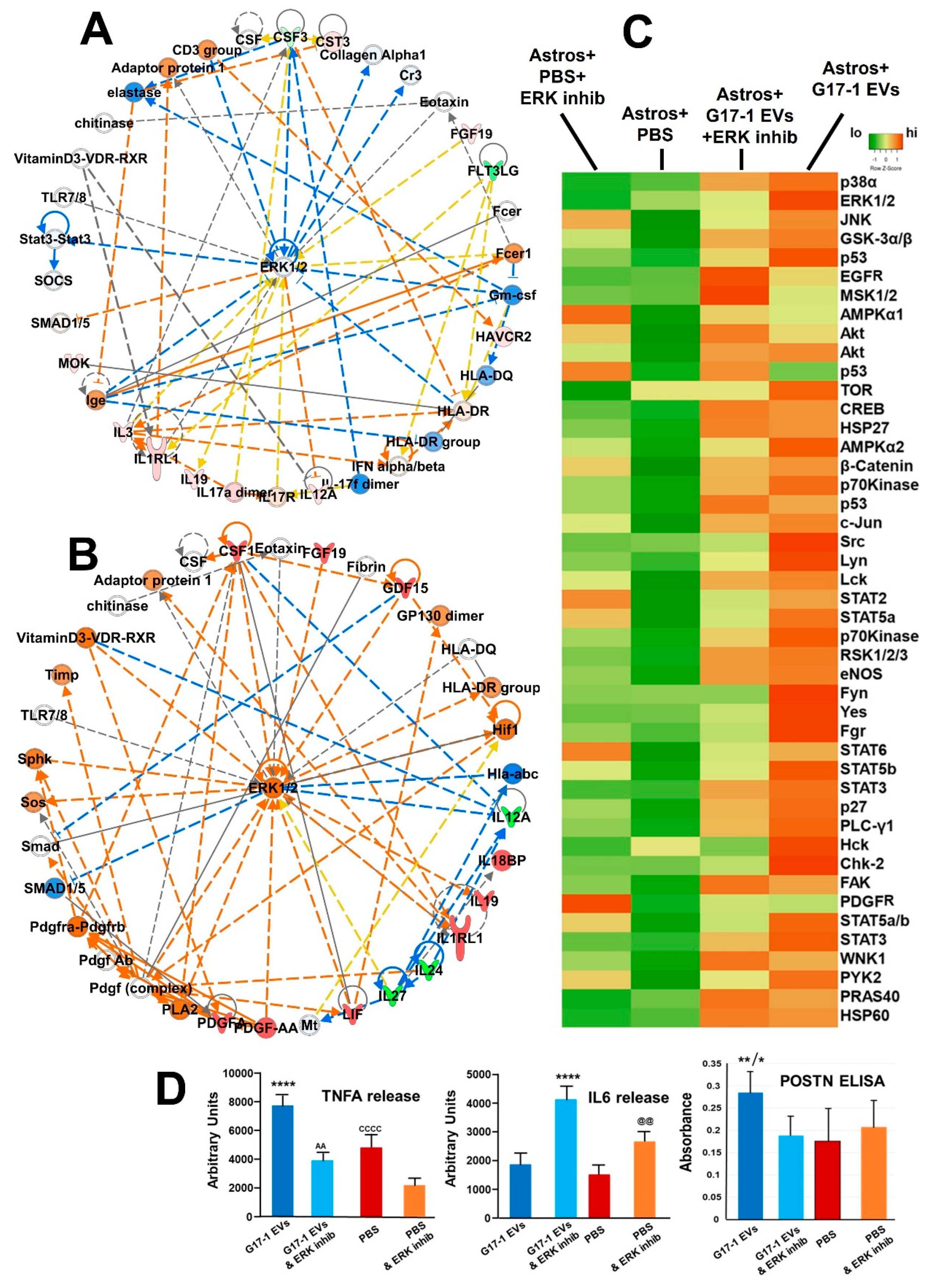Neurolint 16 00103 g006