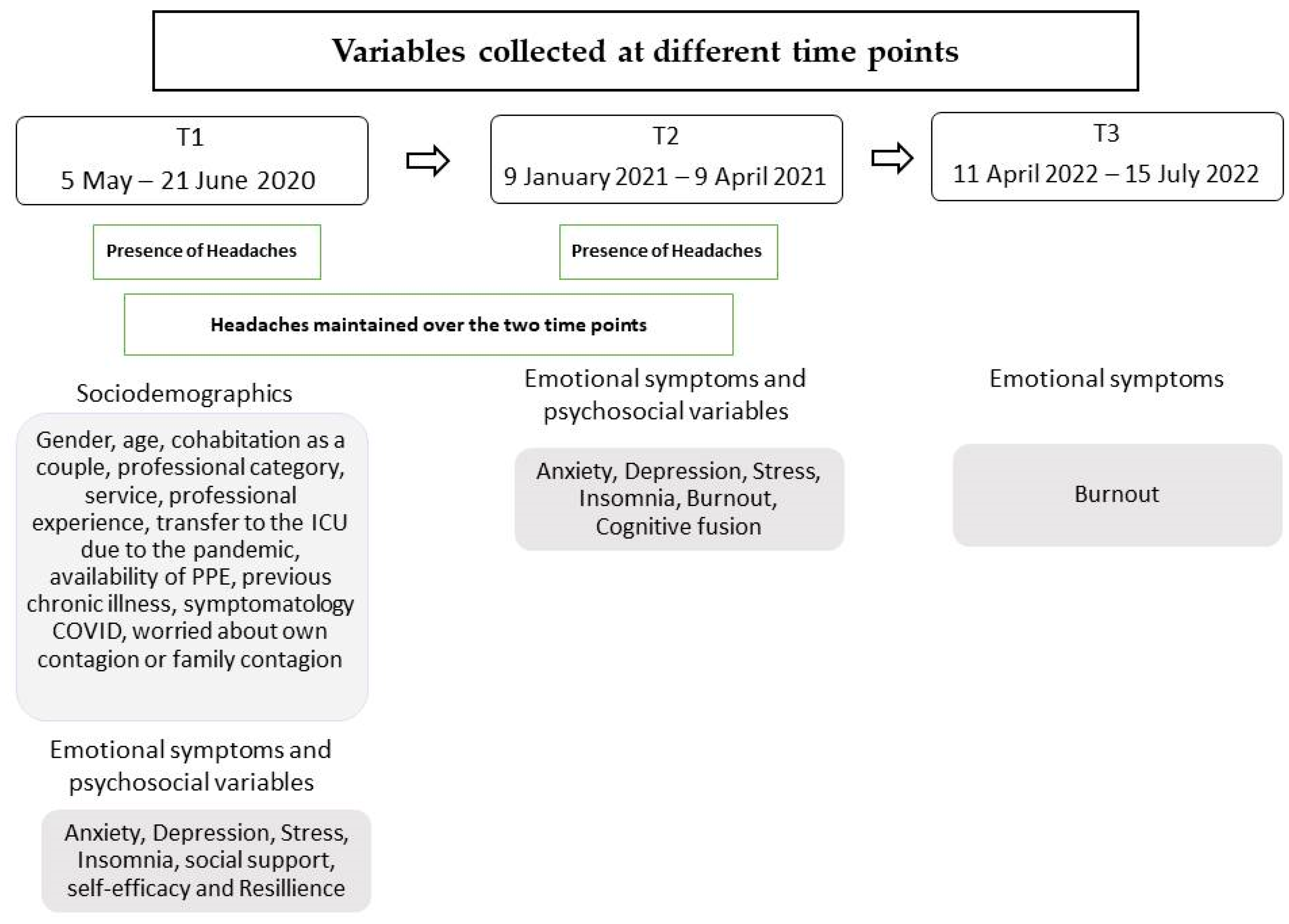 Neurolint 16 00109 g001