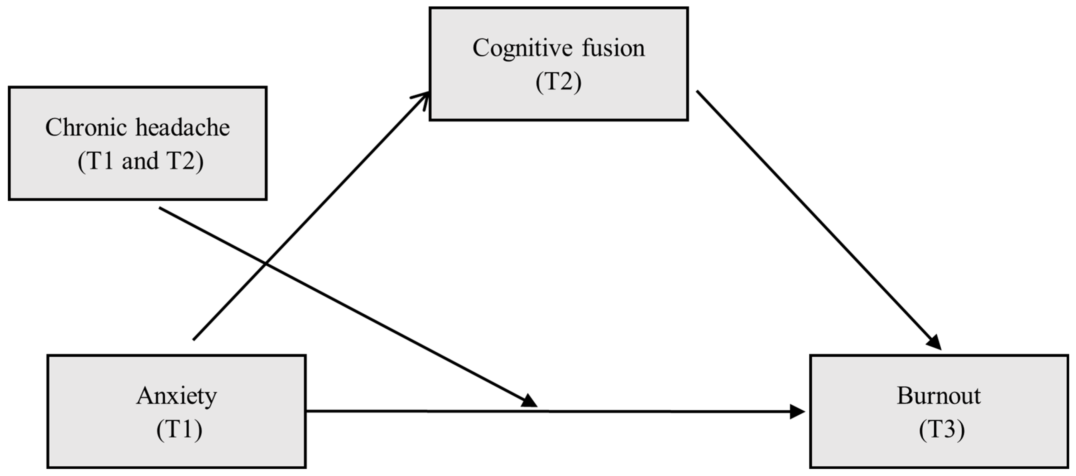 Neurolint 16 00109 g002