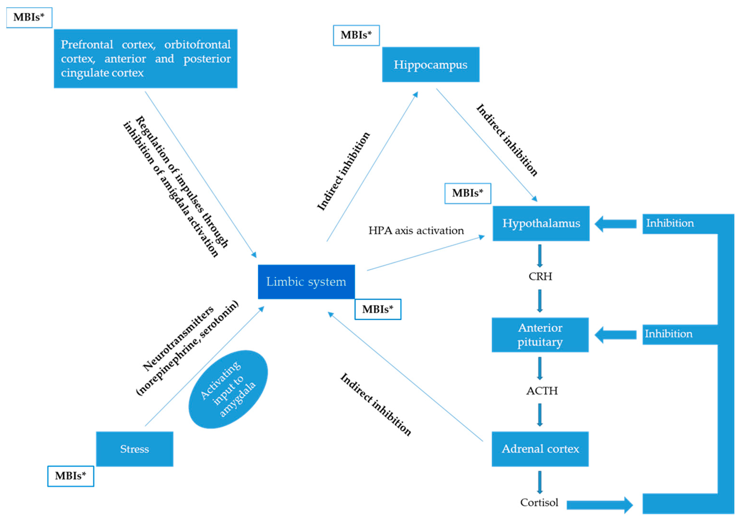 Neurolint 16 00115 g003