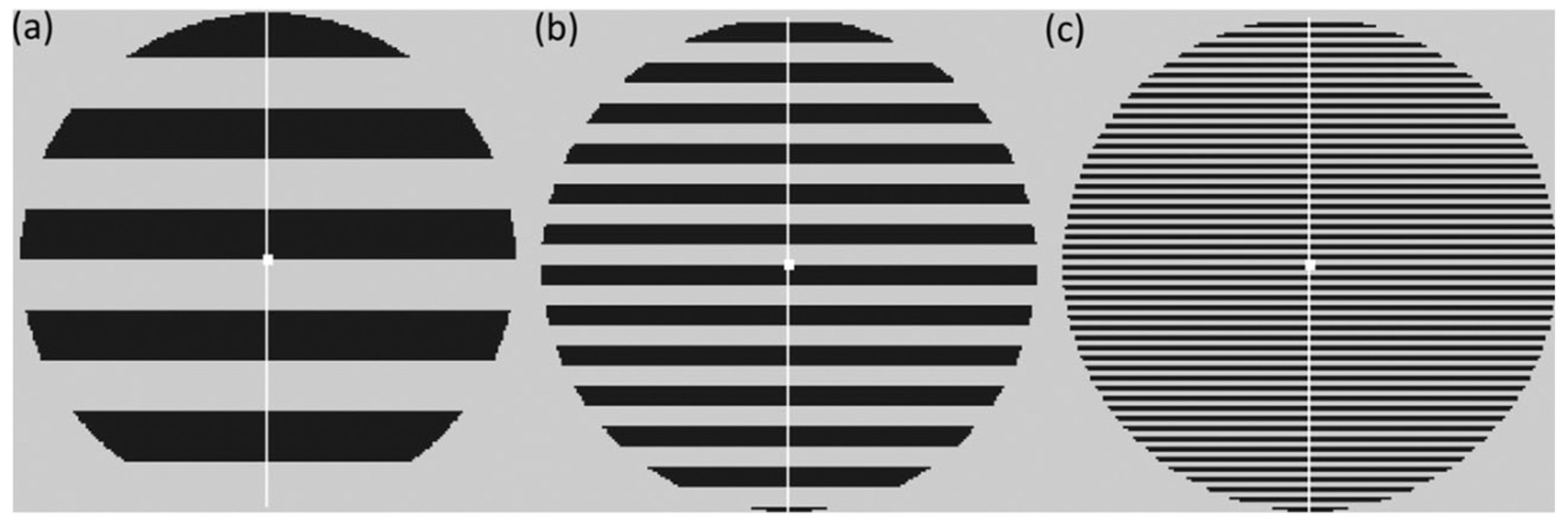 Neurolint 16 00116 g001