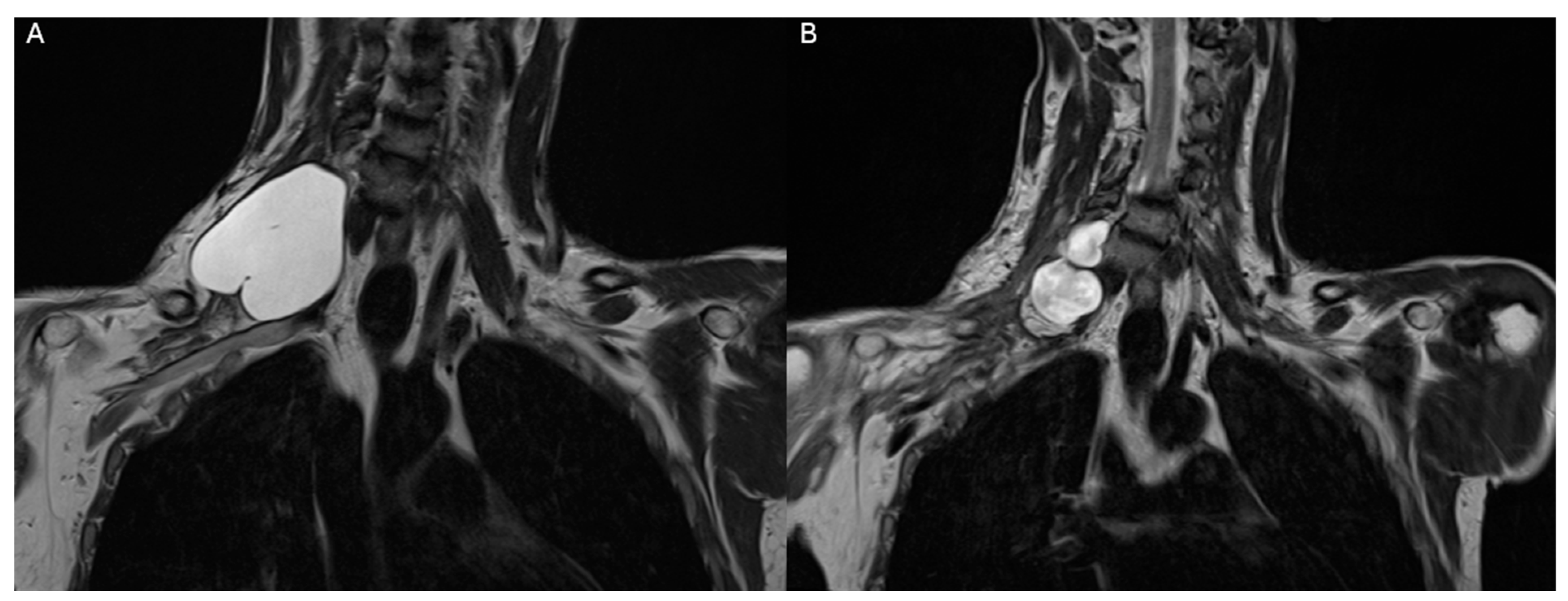Neurolint 16 00126 g004