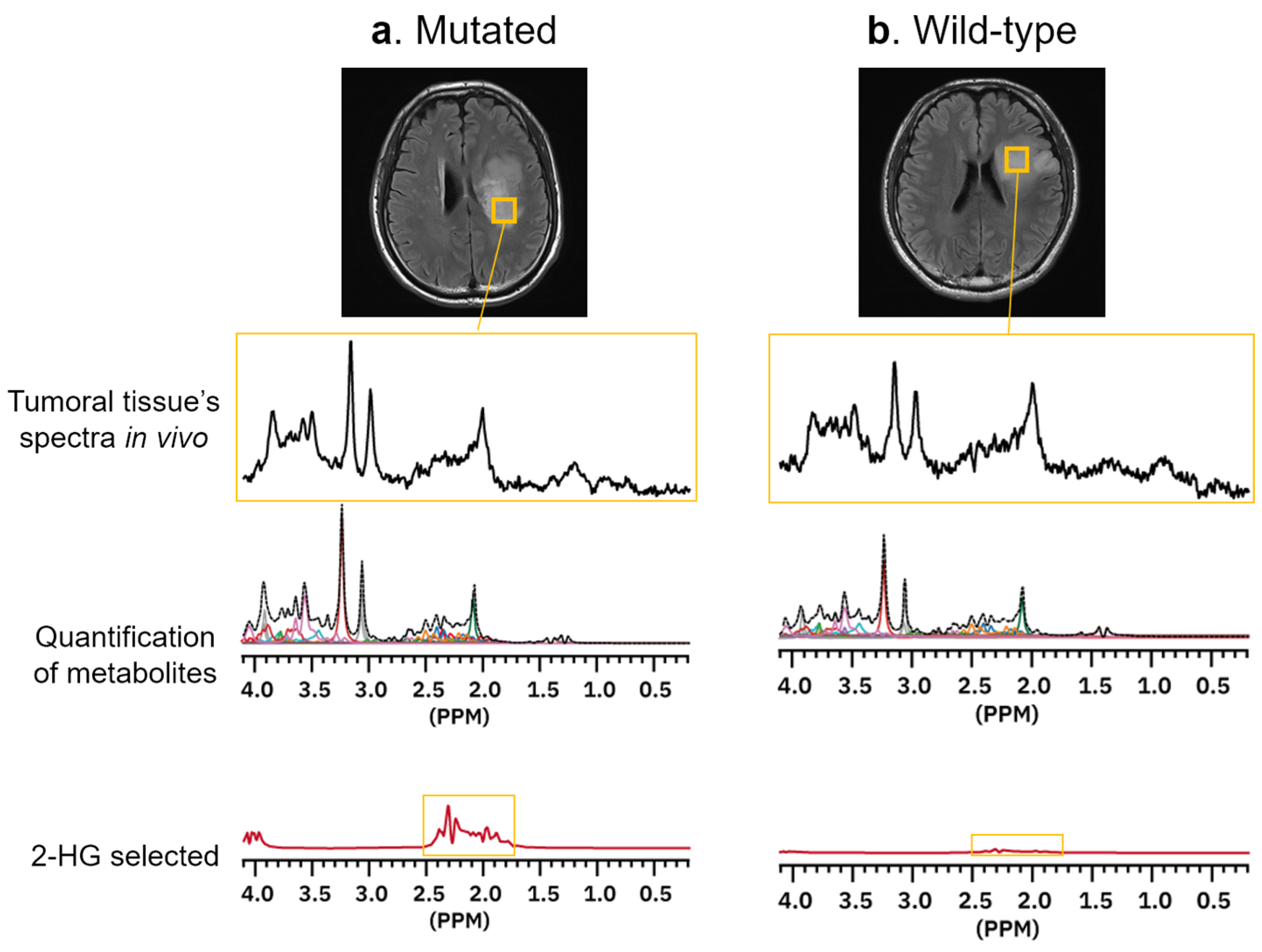Neurolint 16 00133 g002 Neurolint 16 00133 g002