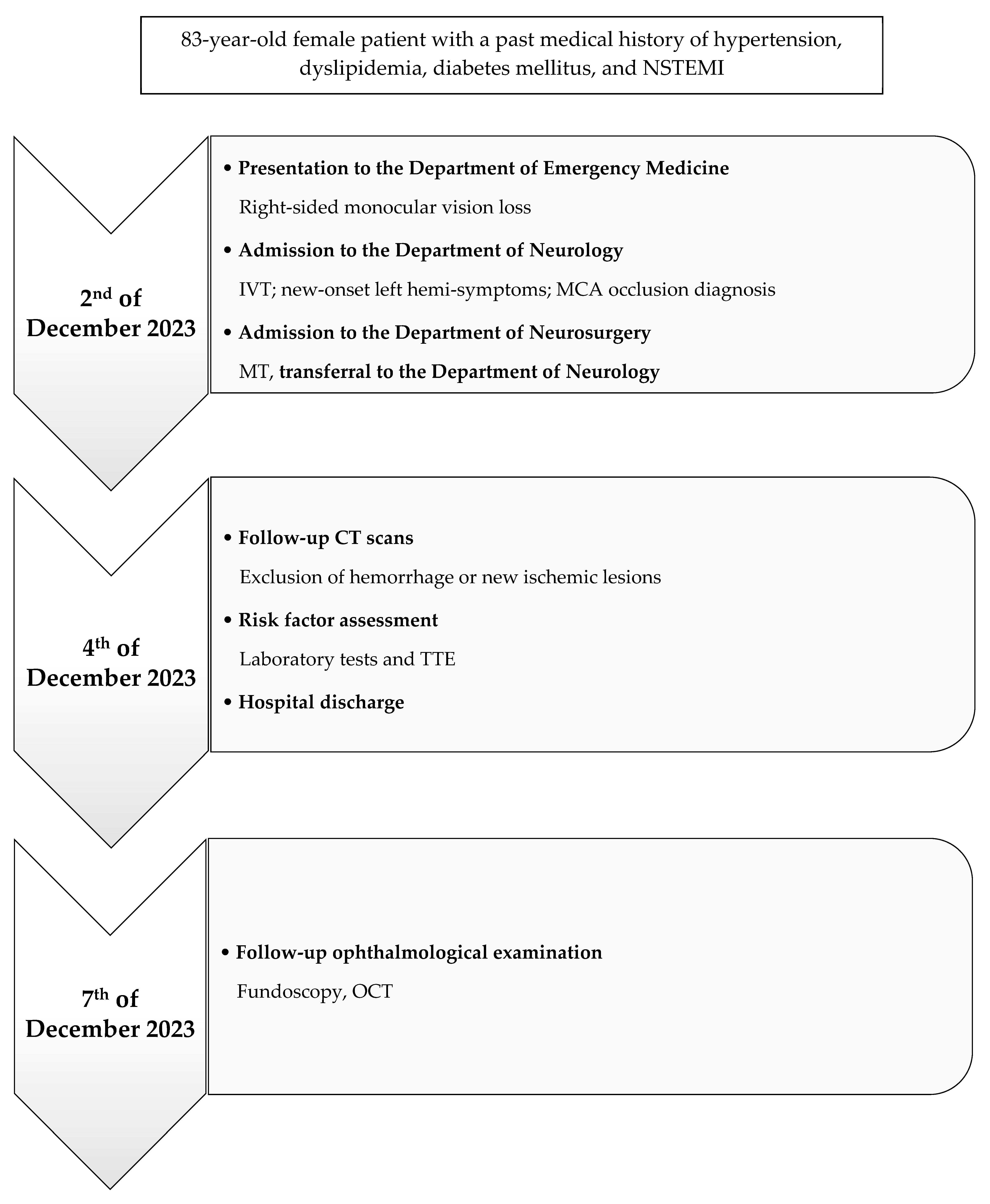 Neurolint 17 00003 g004