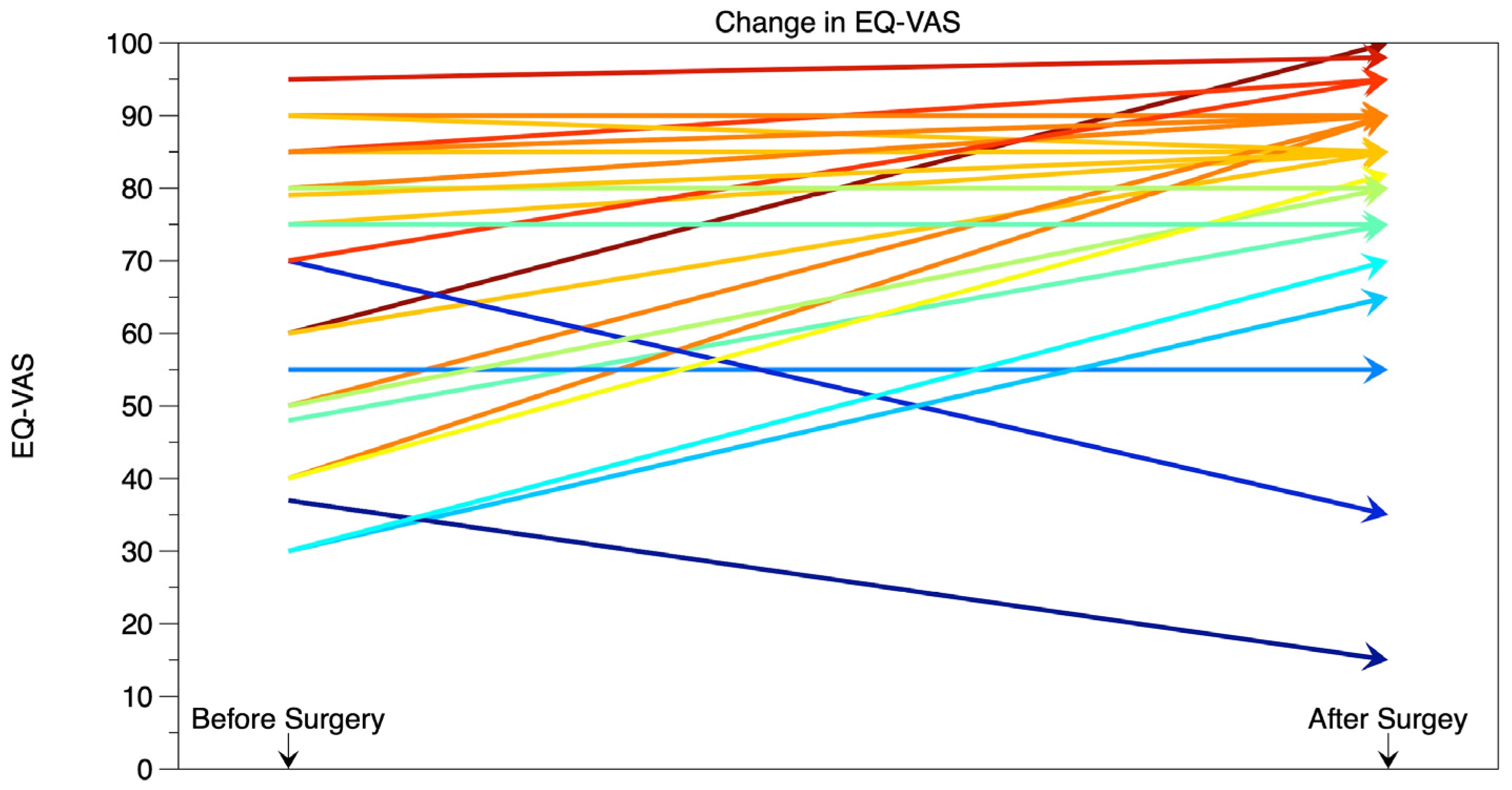 Neurolint 17 00005 g001