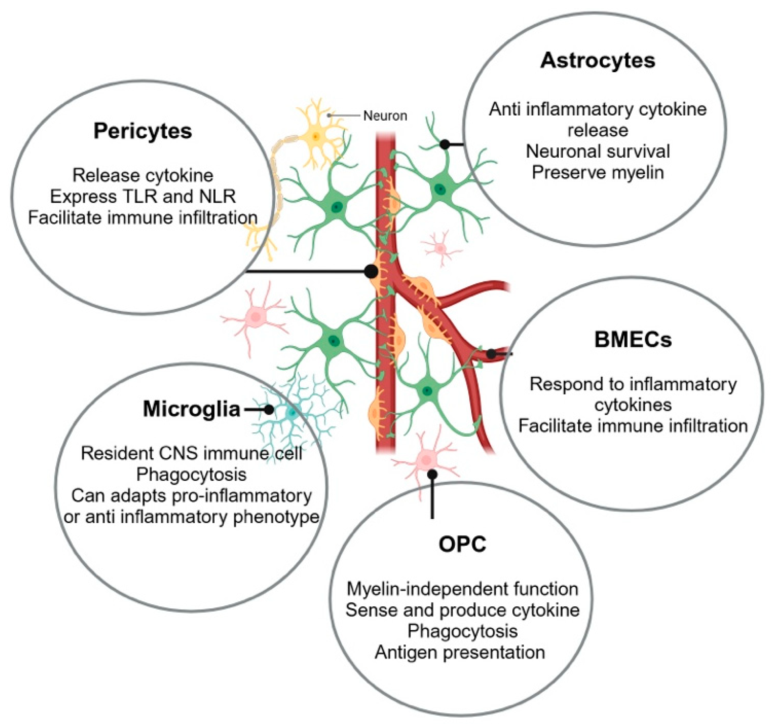 Neurolint 17 00006 g001
