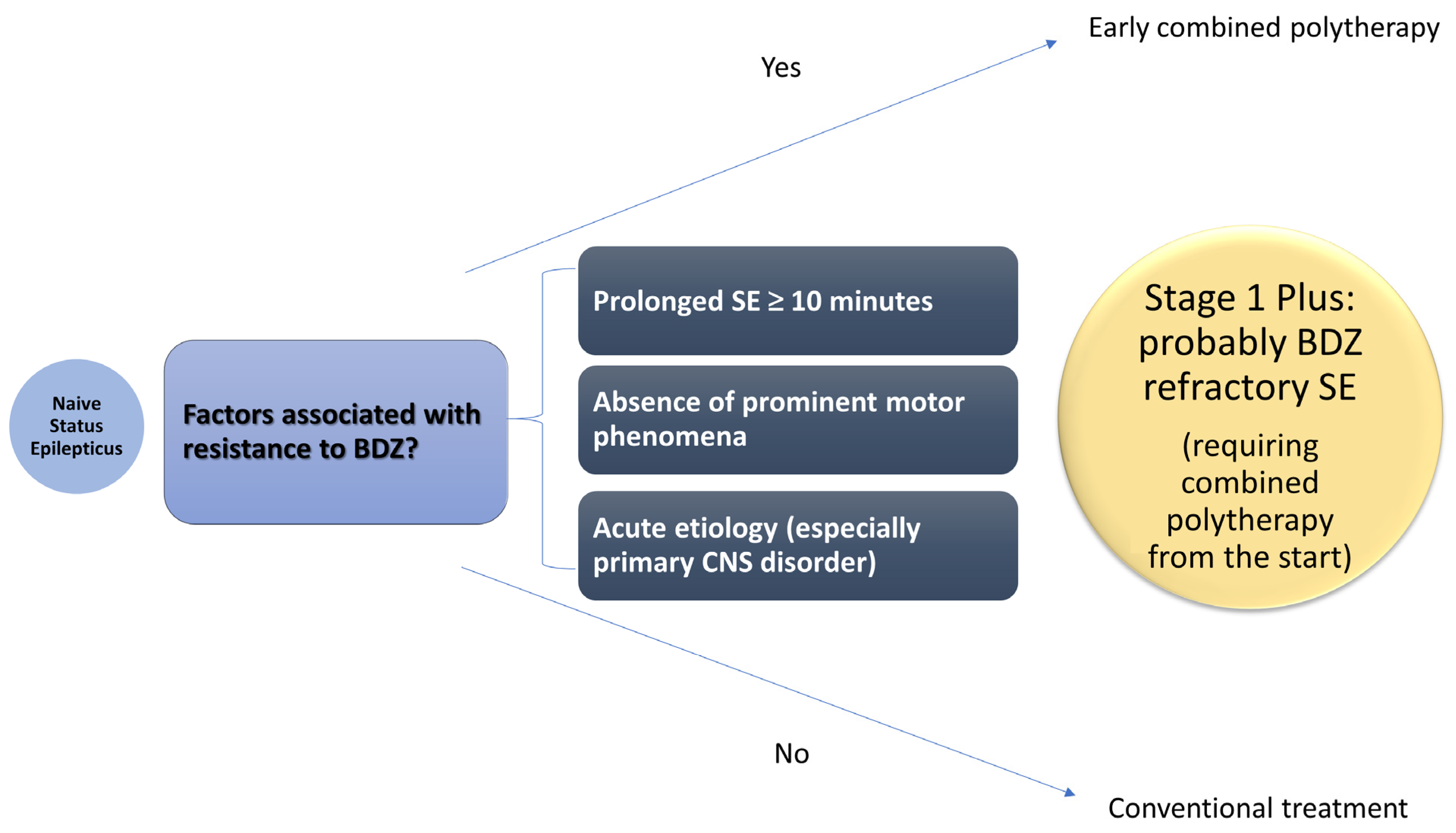 Neurolint 17 00011 g001