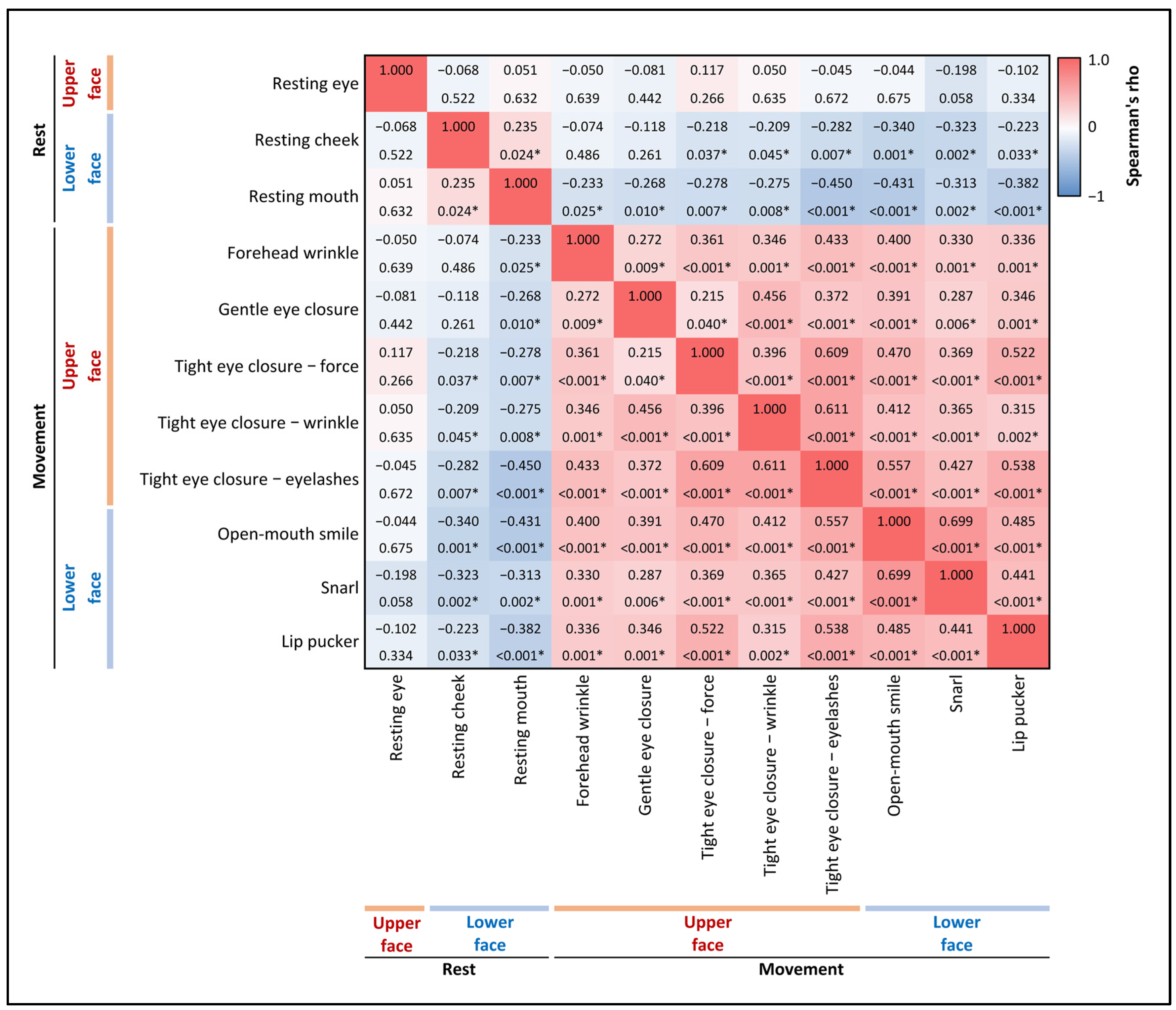 Neurolint 17 00012 g004