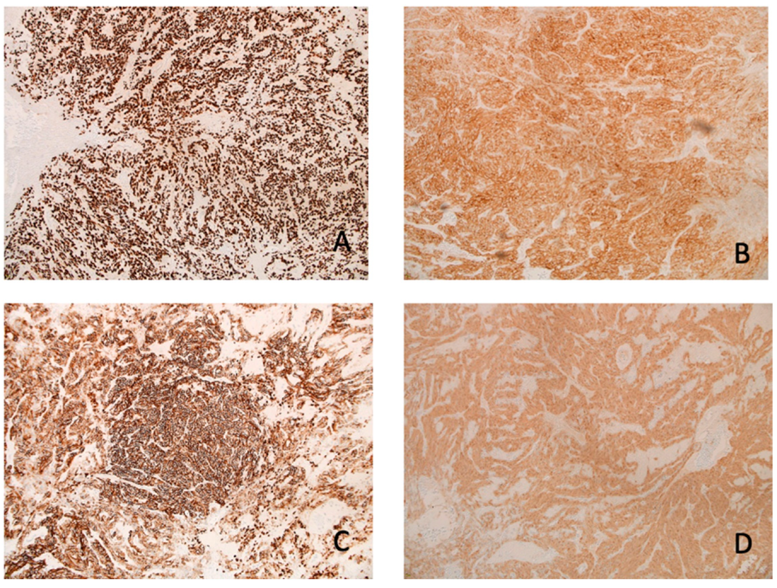 Neurolint 17 00016 g004