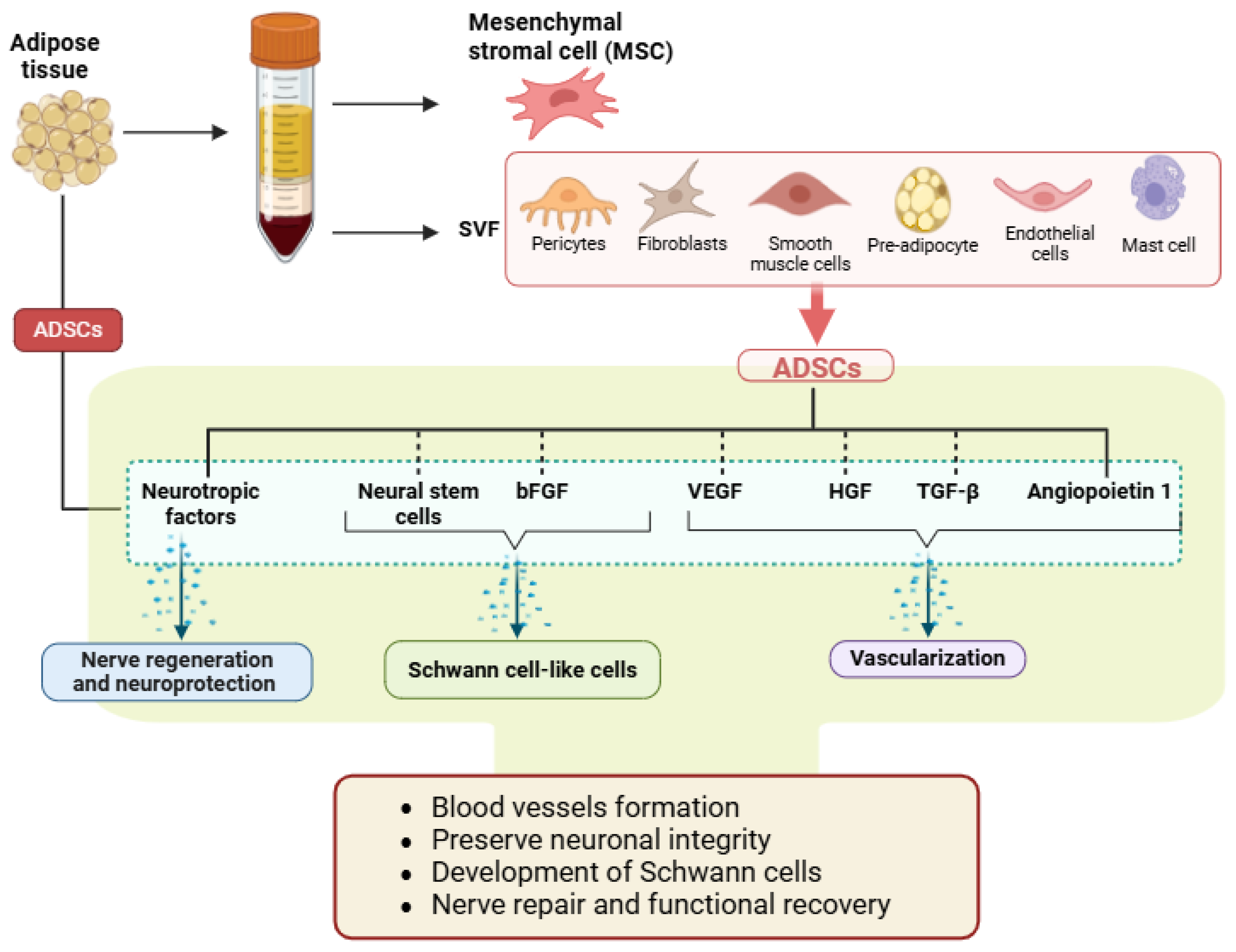 Neurolint 17 00023 g003 Neurolint 17 00023 g003