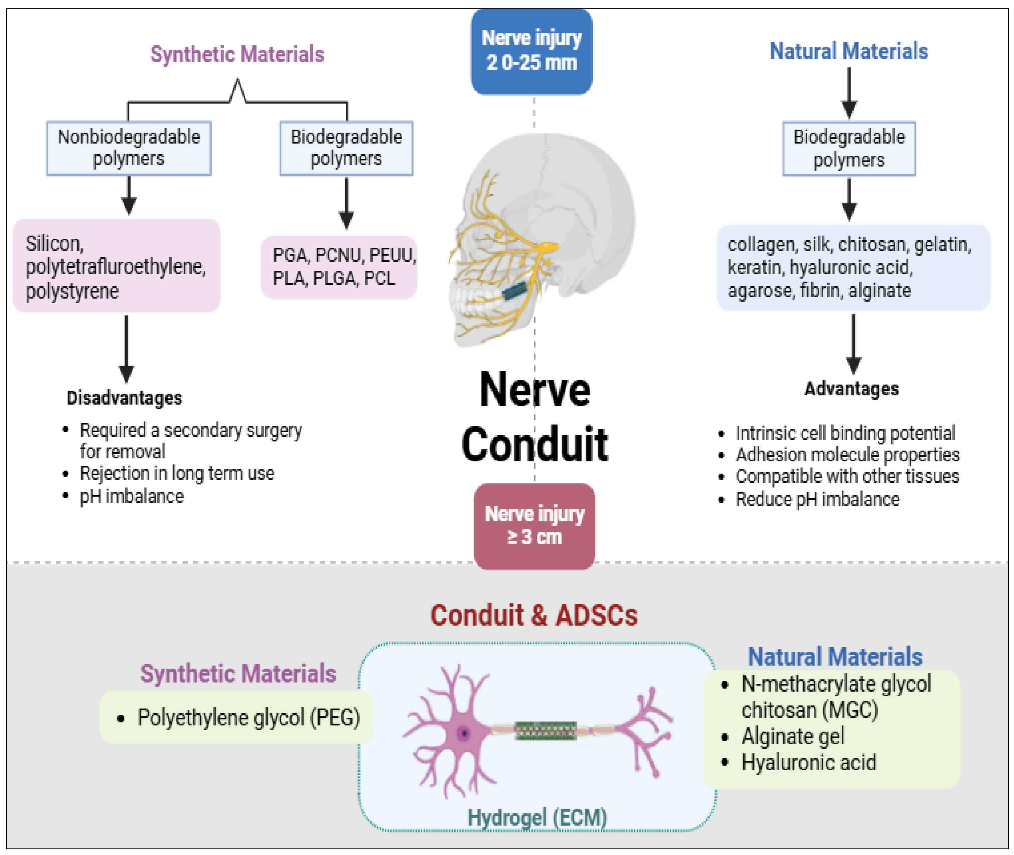 Neurolint 17 00023 g004 Neurolint 17 00023 g004