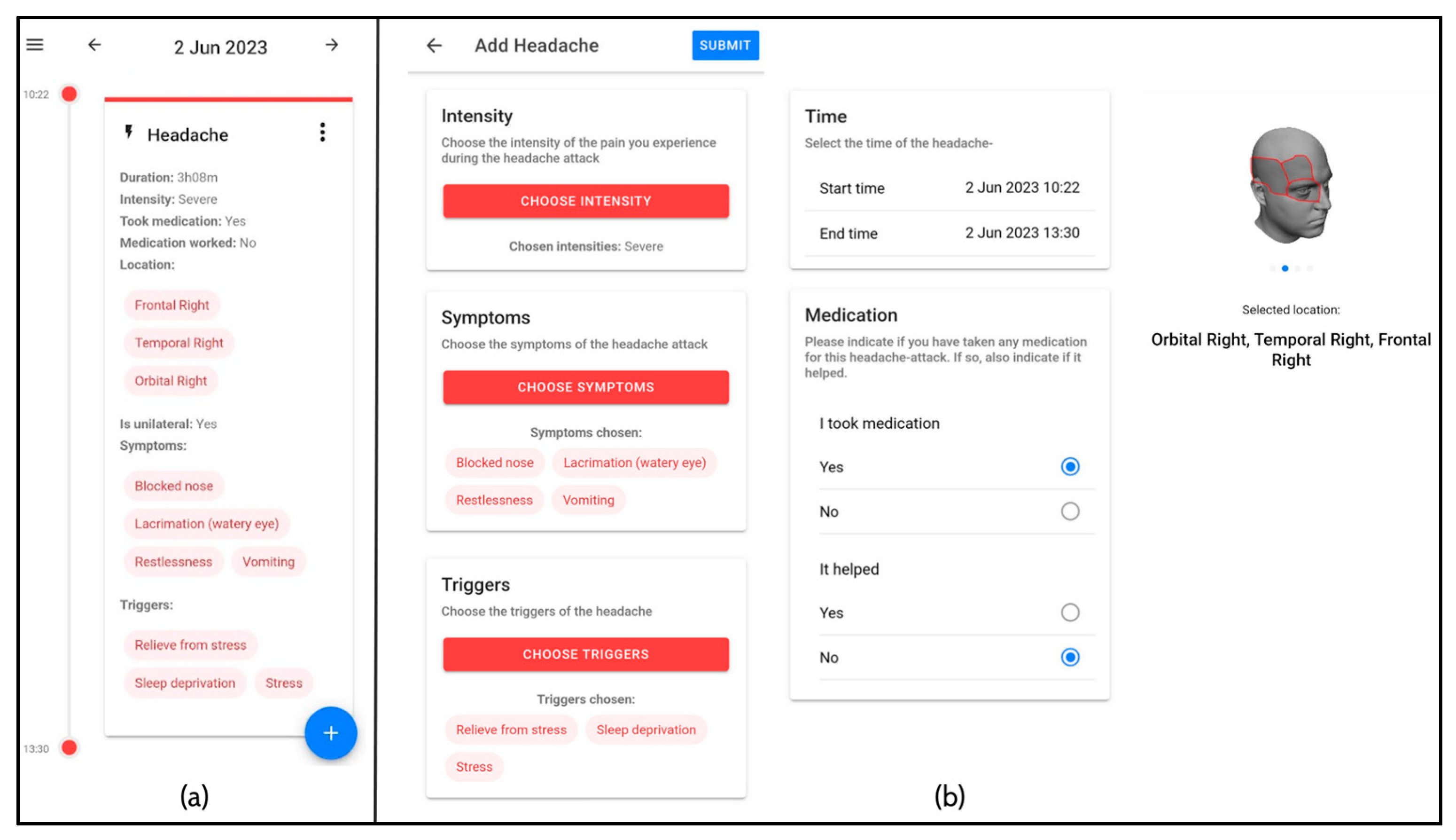 Neurolint 17 00033 g002