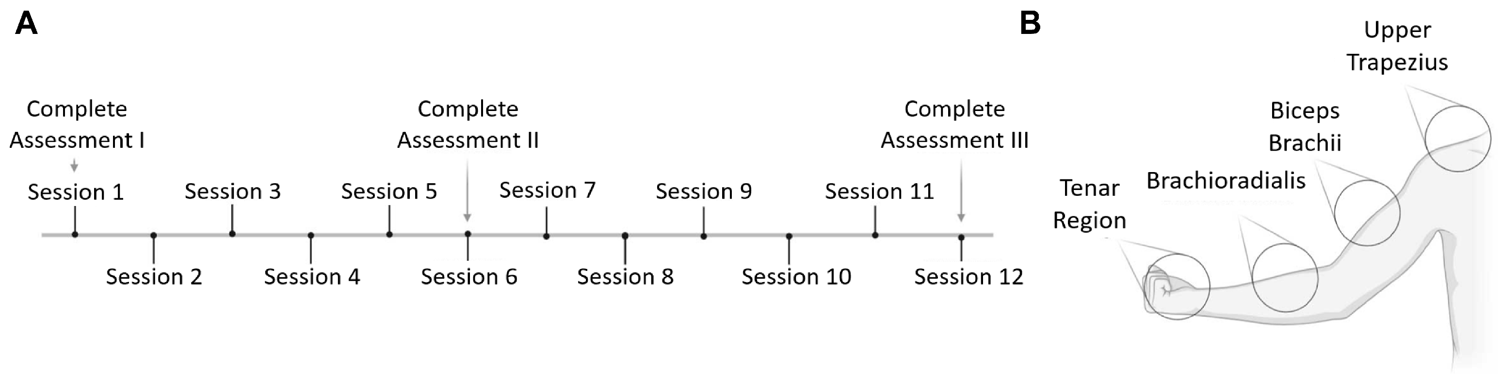 Neurolint 17 00034 g001