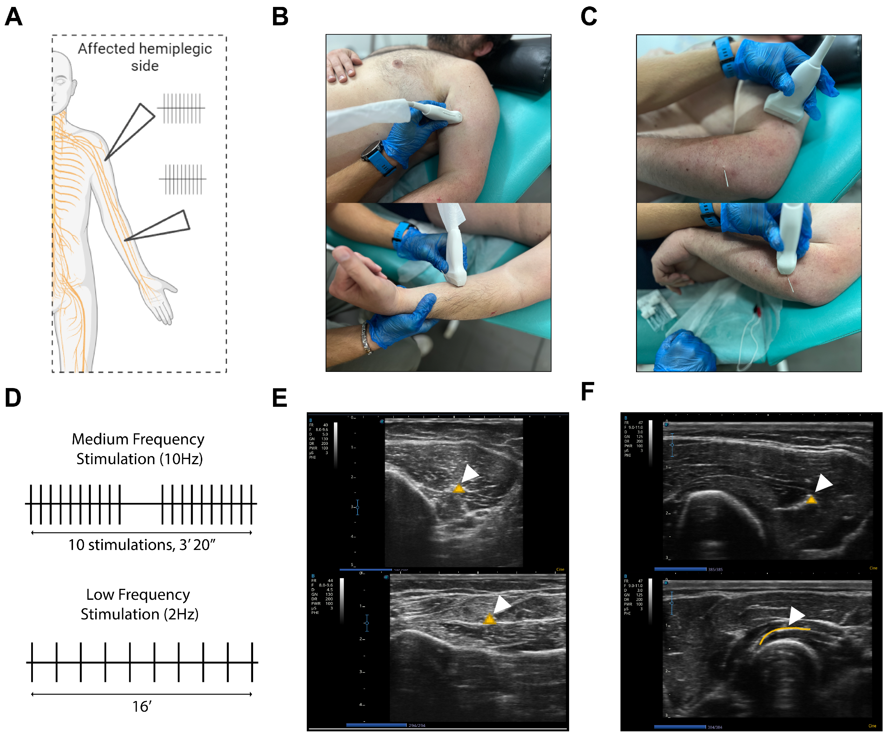 Neurolint 17 00034 g002