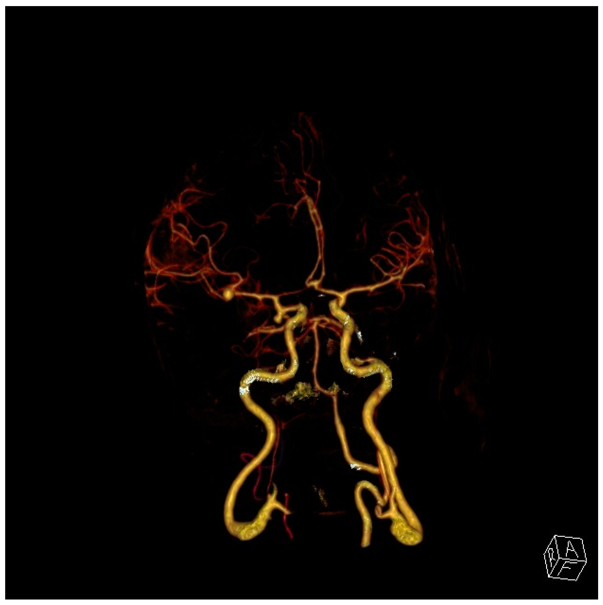 Neurolint 17 00036 g002