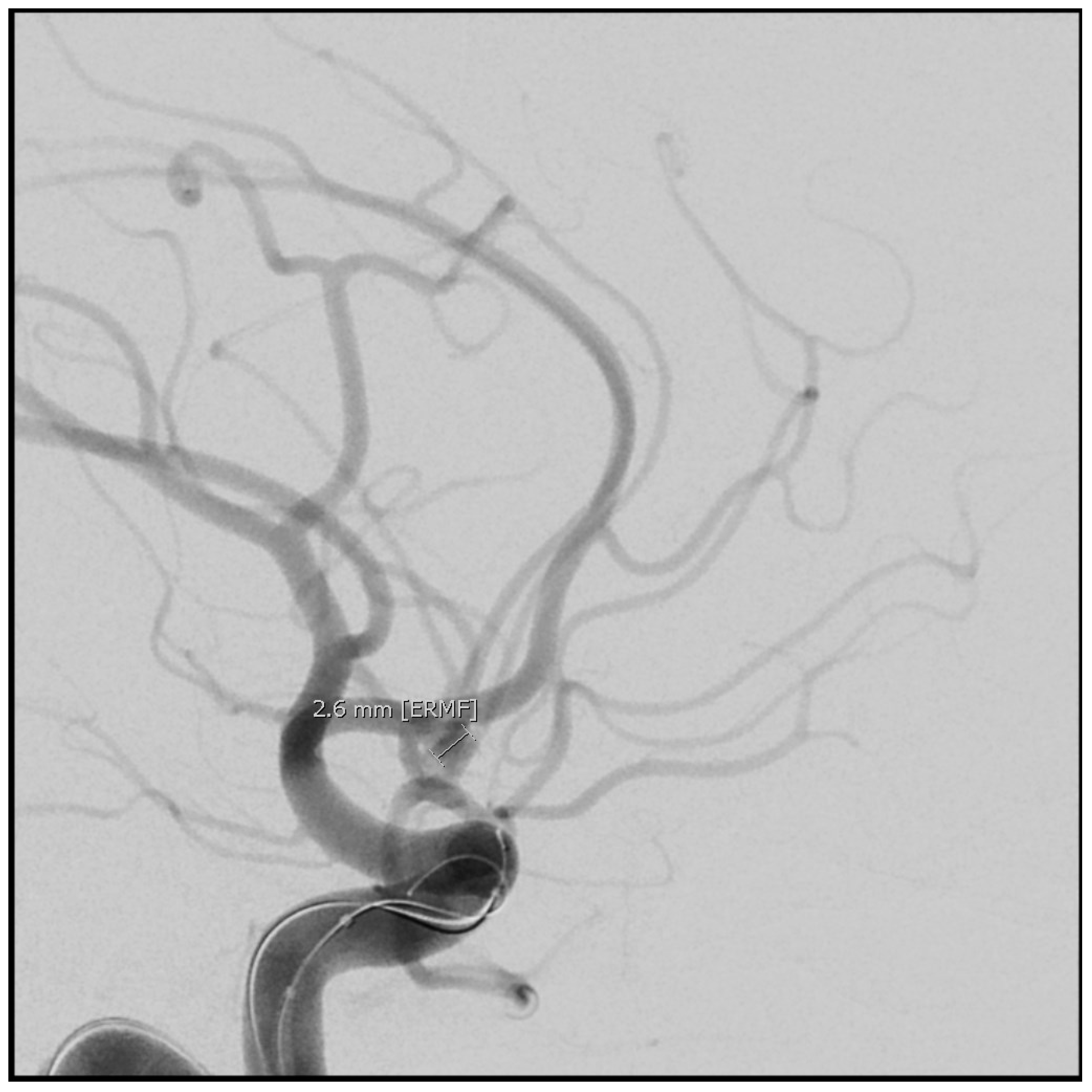 Neurolint 17 00036 g007