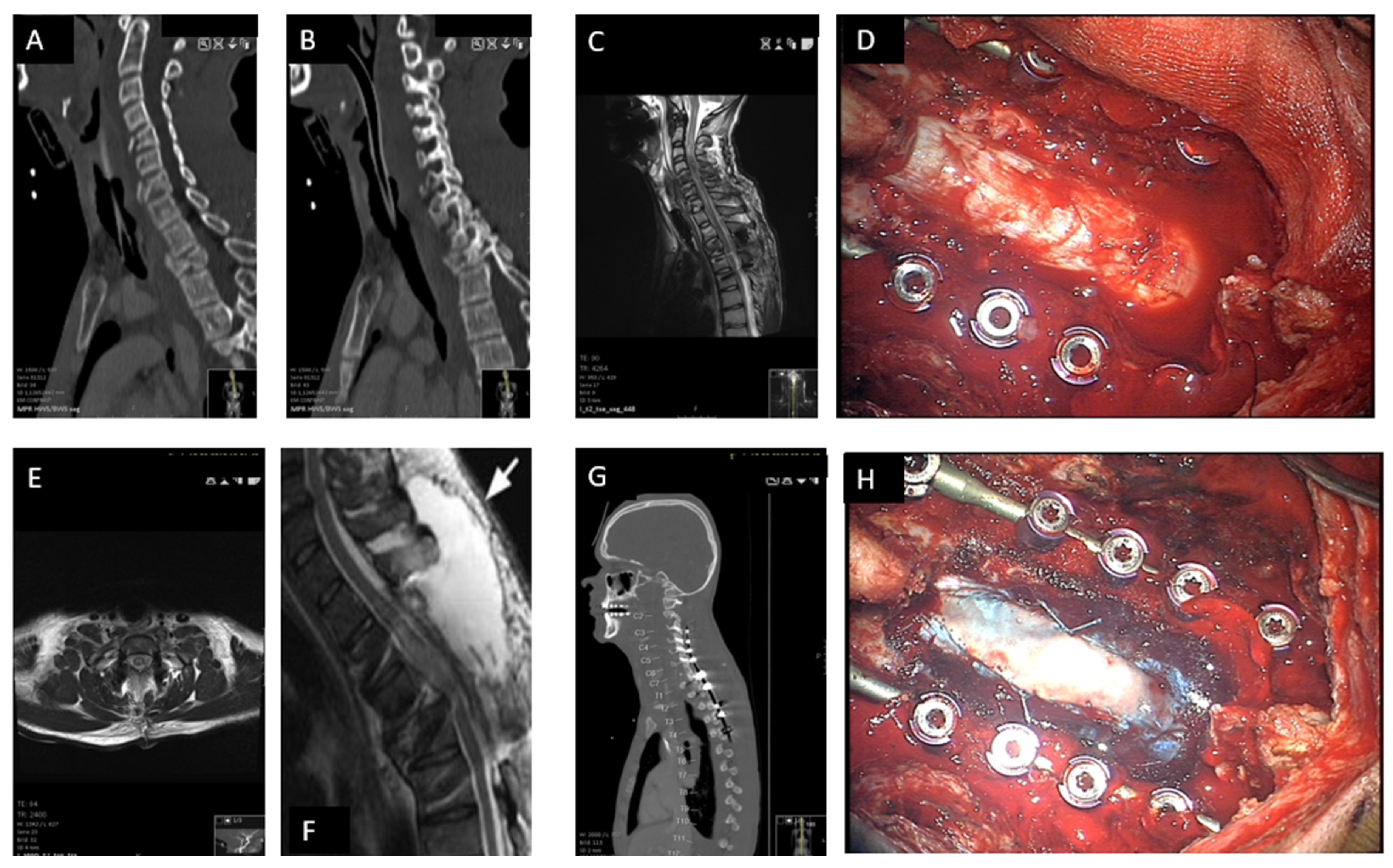 Neurolint 17 00057 g003