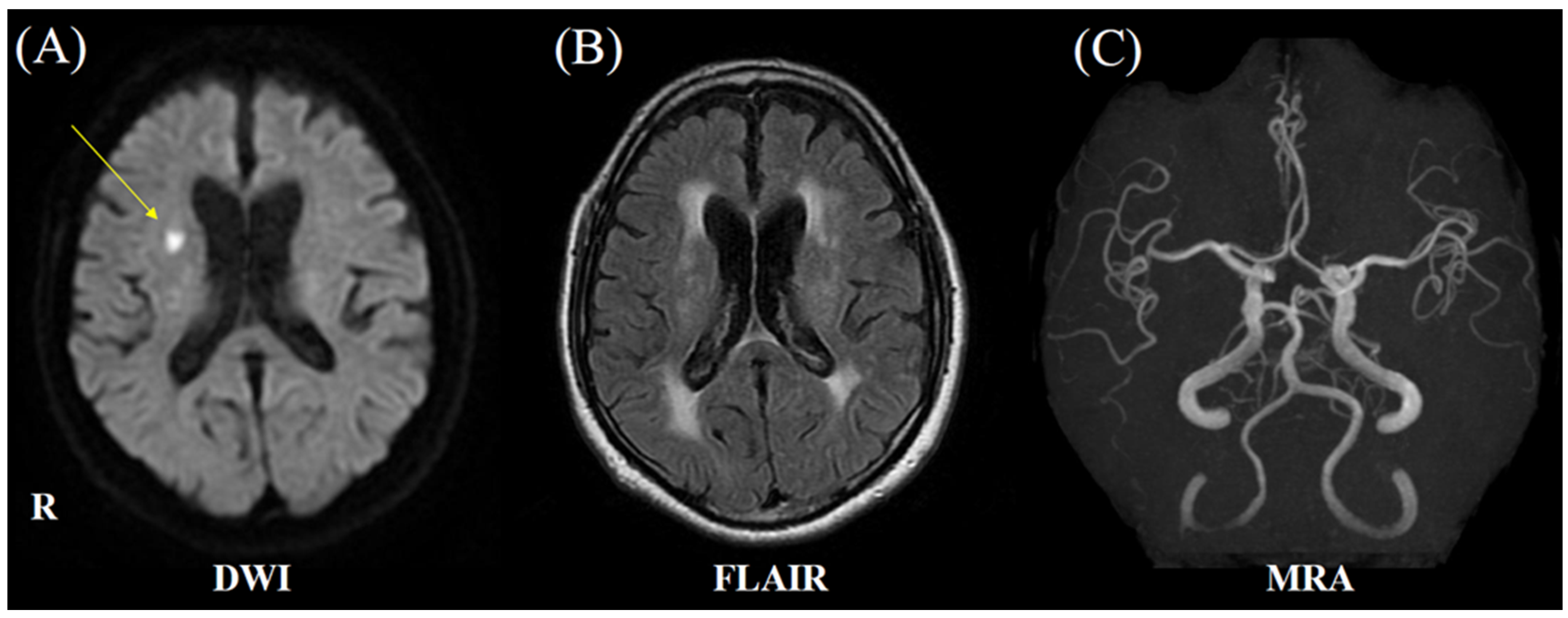 Neurolint 17 00068 g001