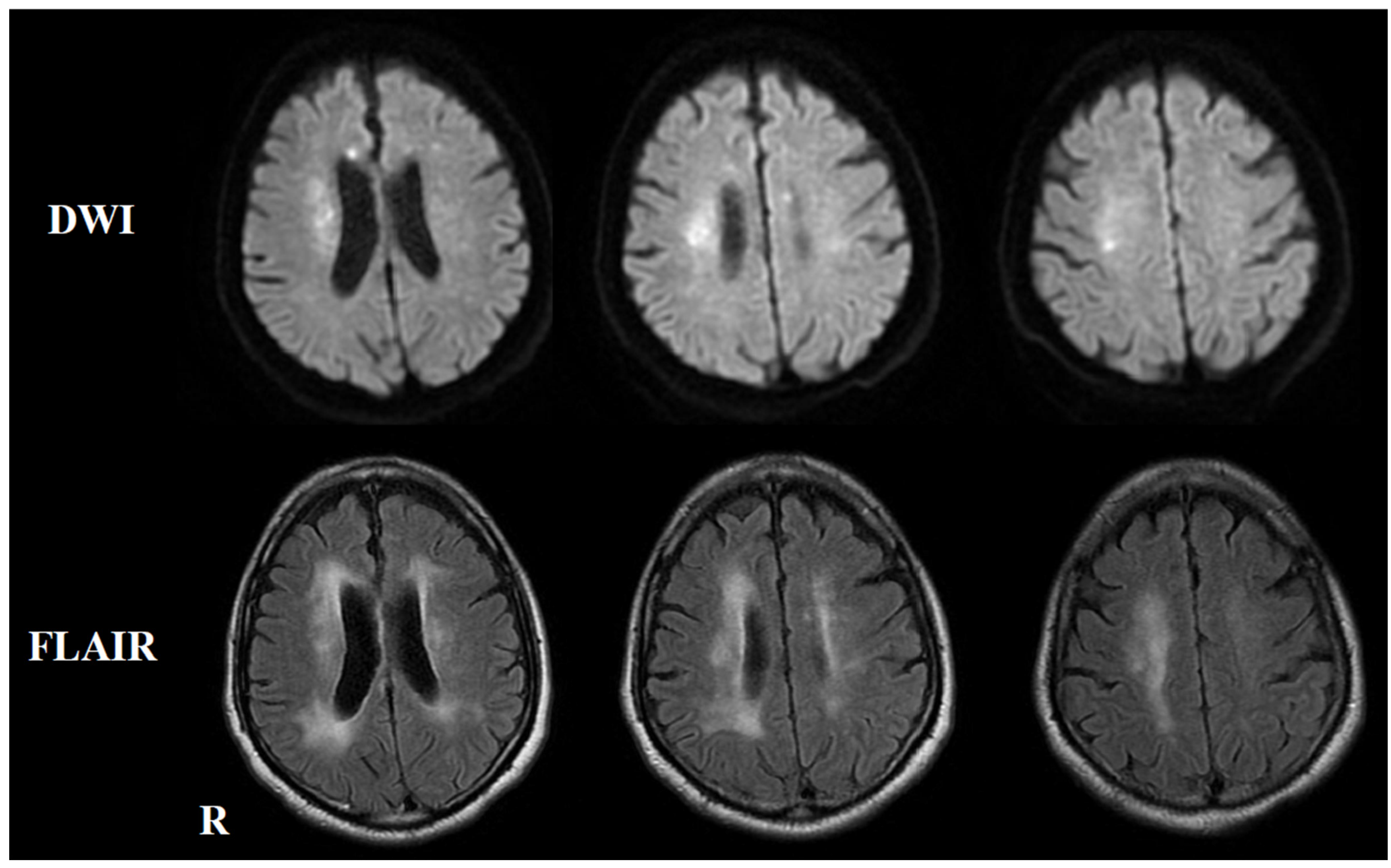 Neurolint 17 00068 g002