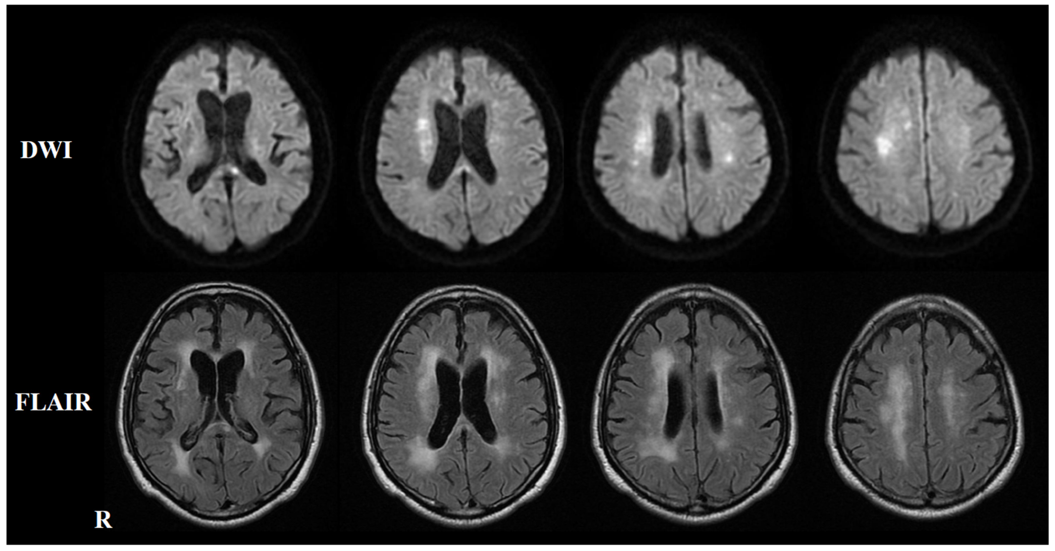 Neurolint 17 00068 g003