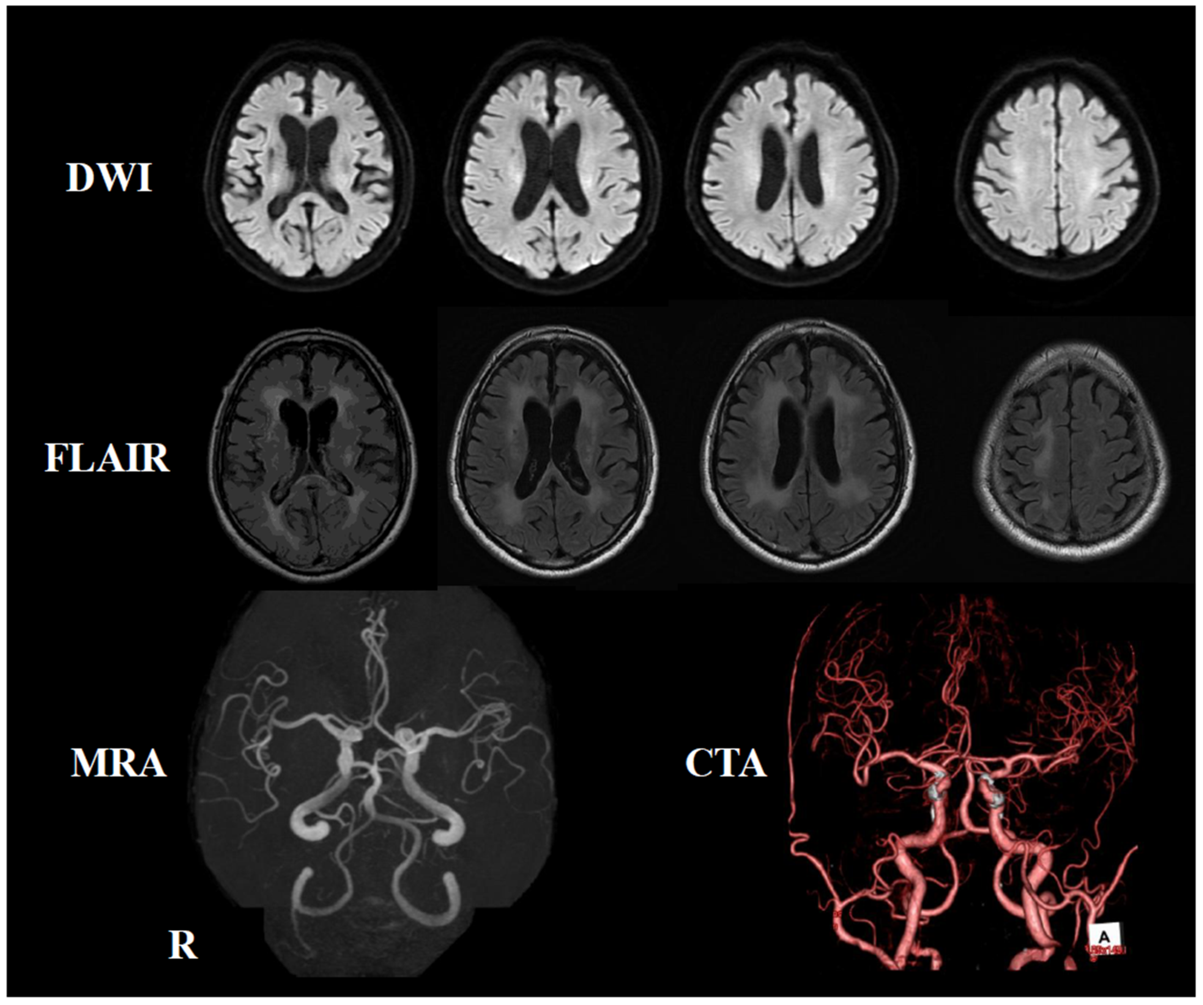 Neurolint 17 00068 g006