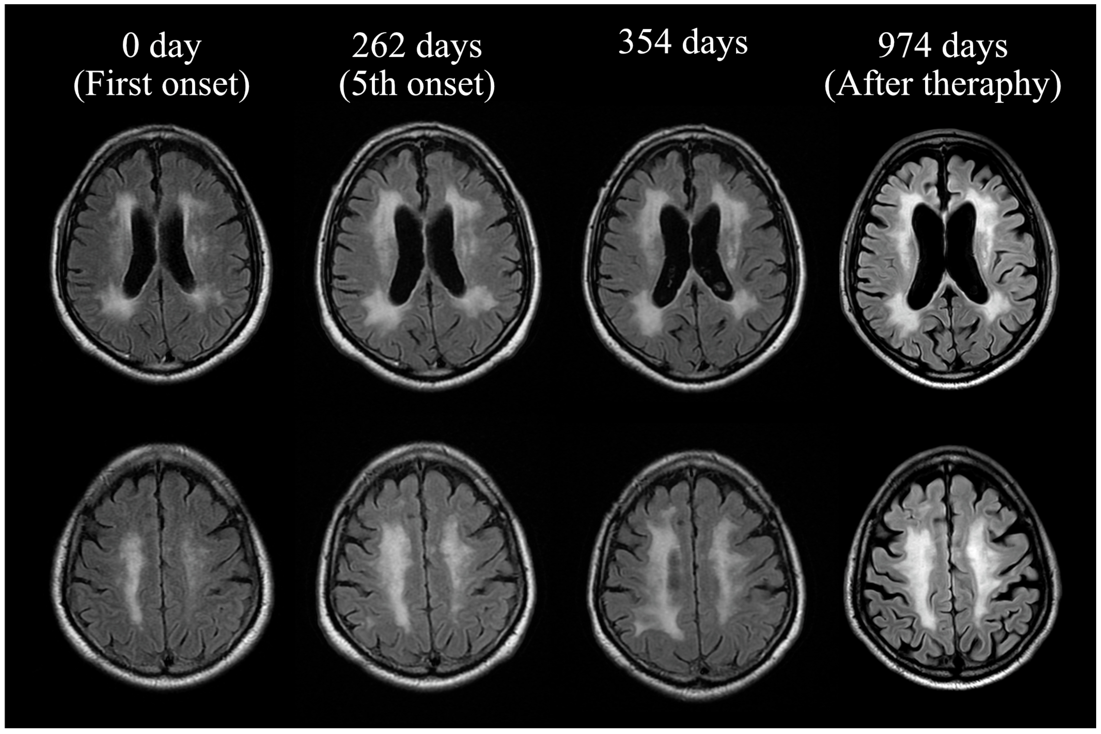 Neurolint 17 00068 g009