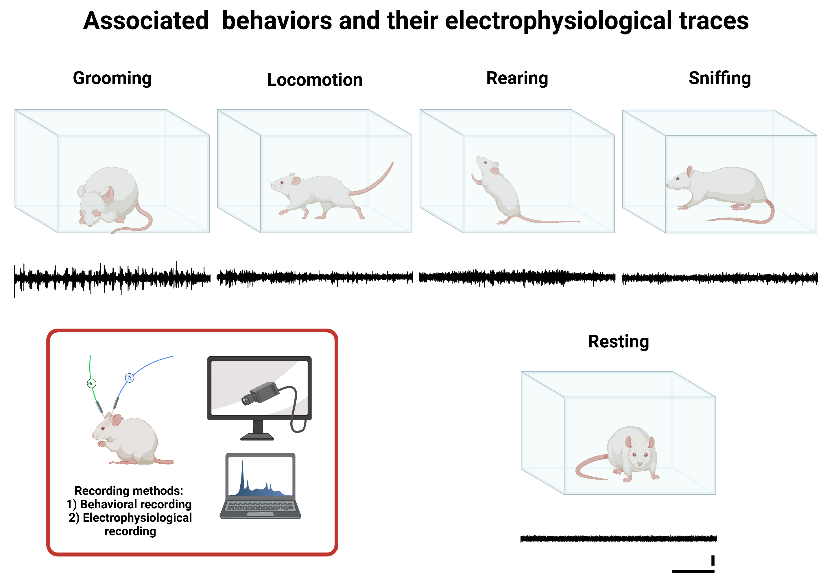 Neurolint 17 00072 g001