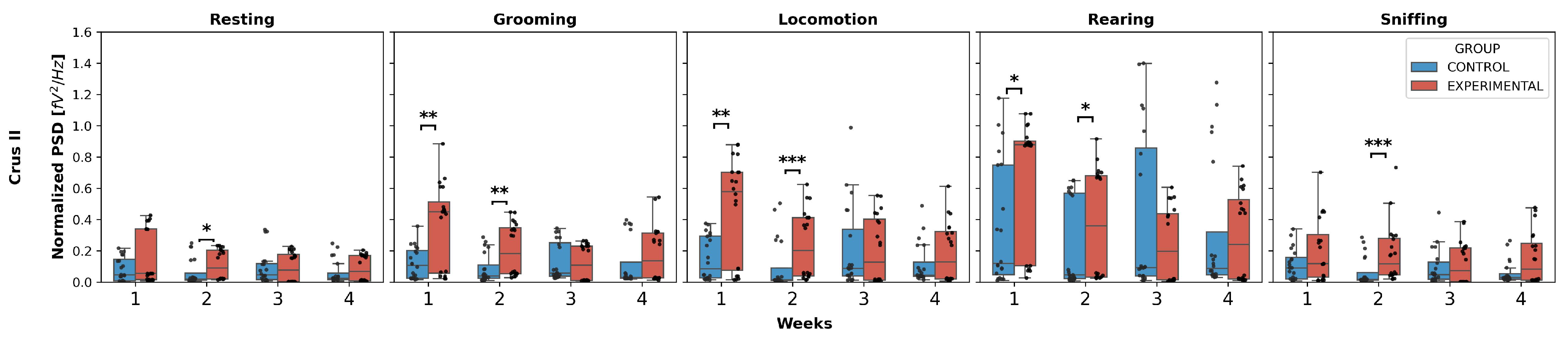 Neurolint 17 00072 g002