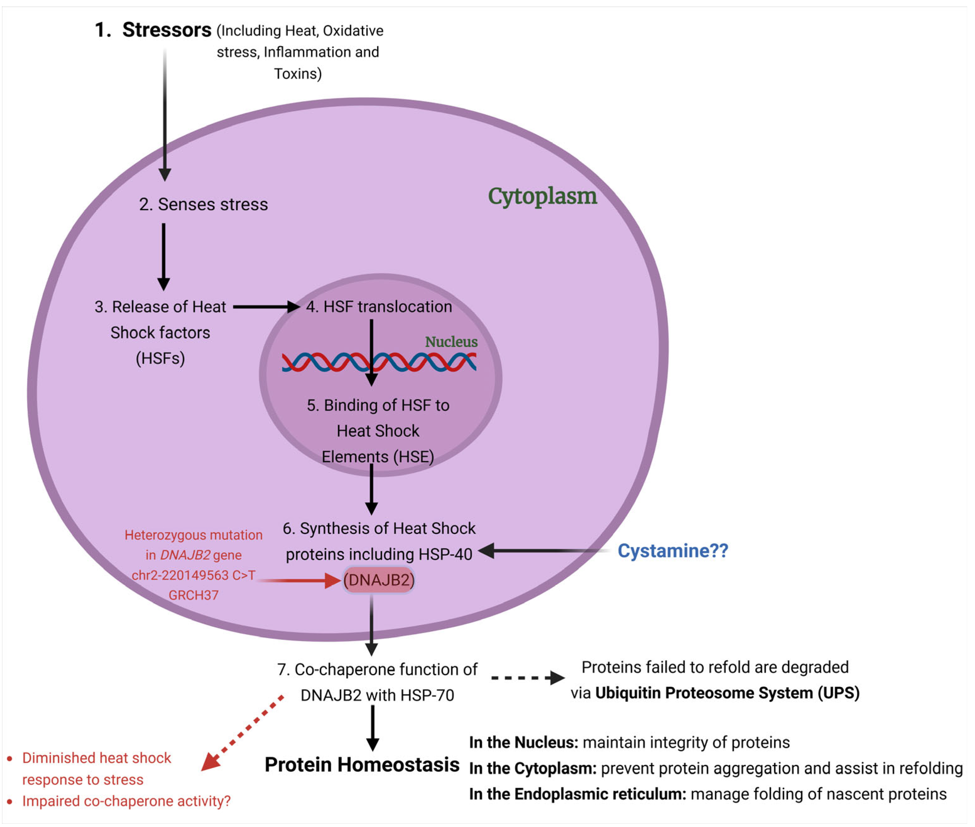Neurolint 17 00073 g002