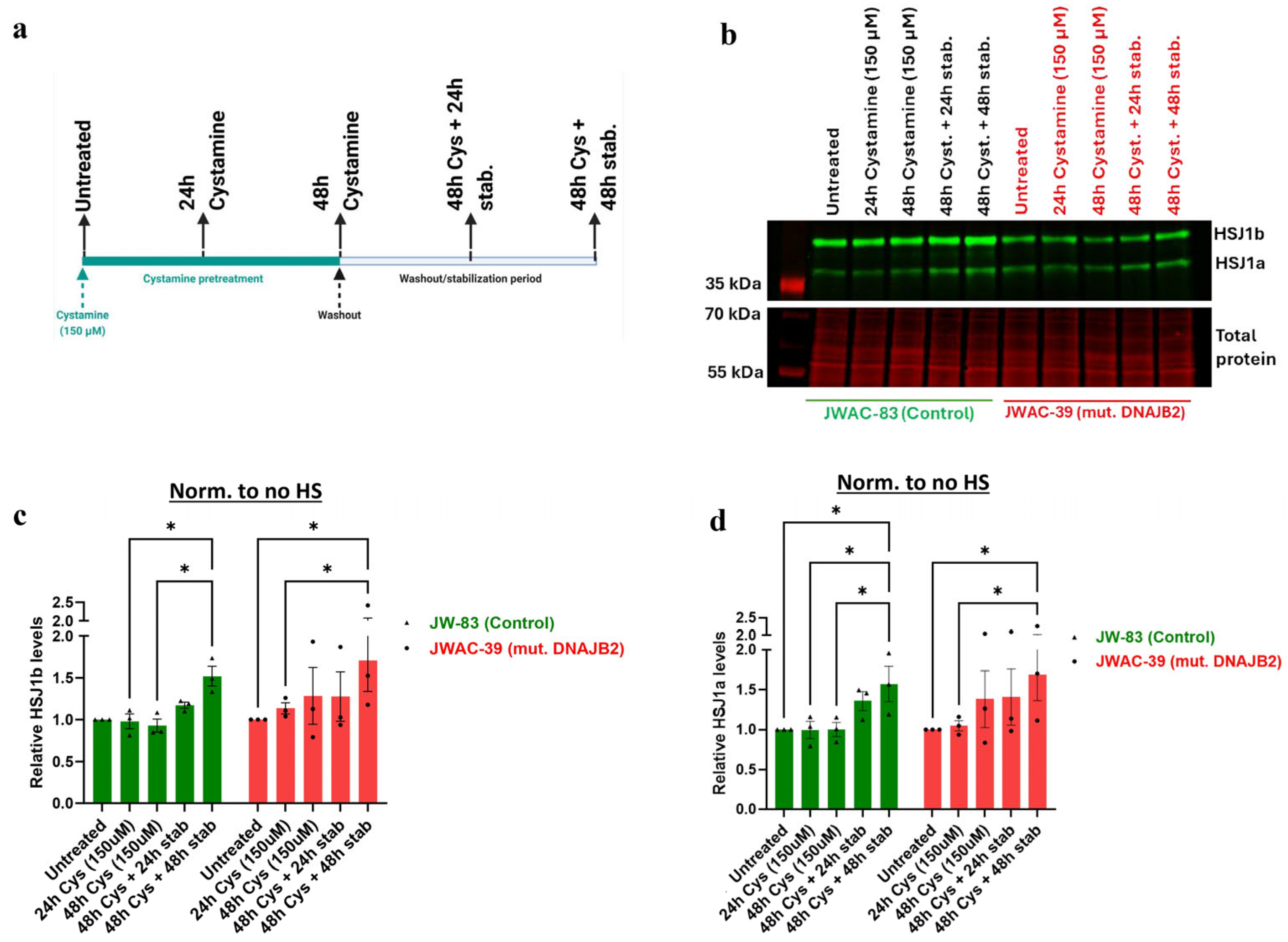 Neurolint 17 00073 g006