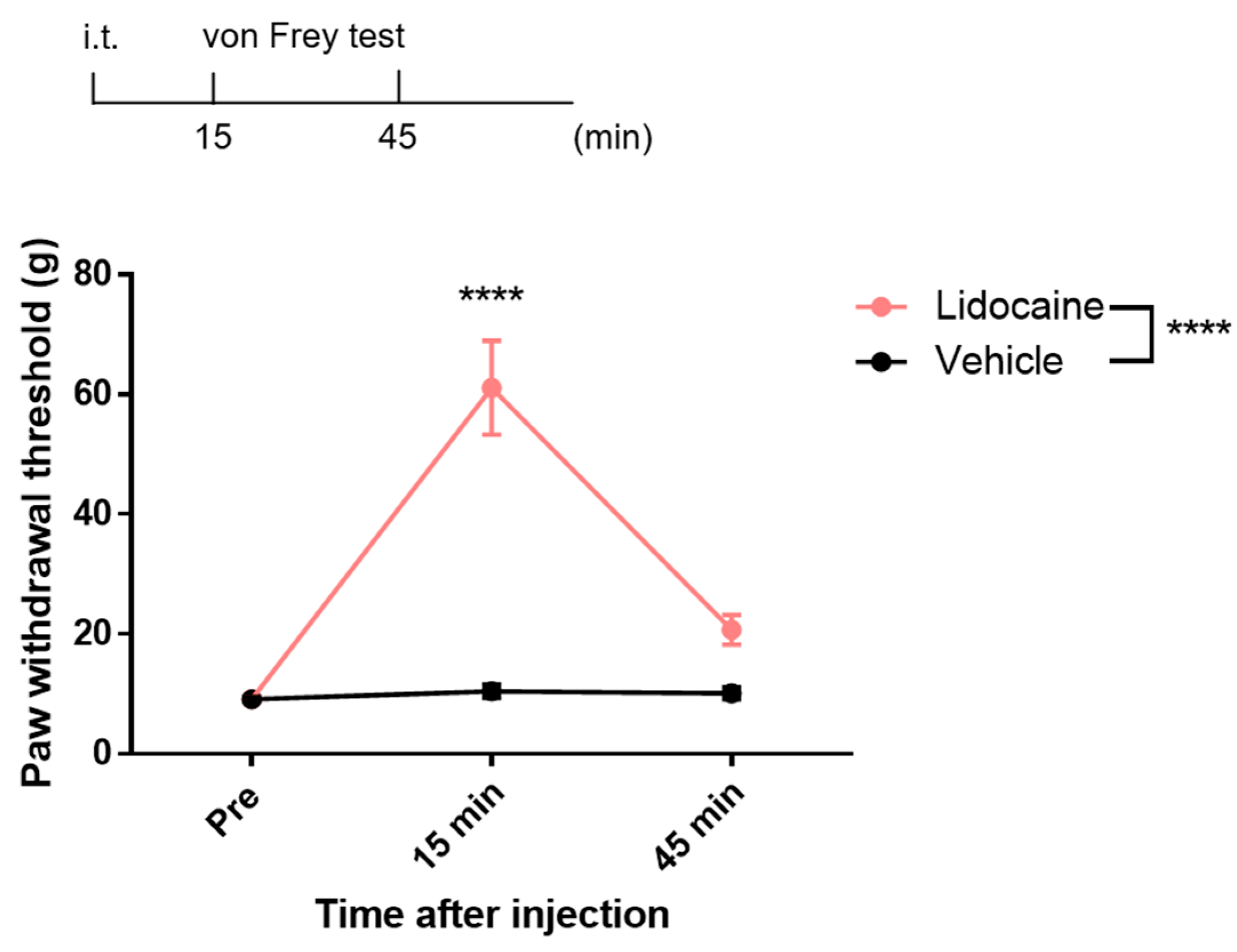 Neurolint 17 00078 g002