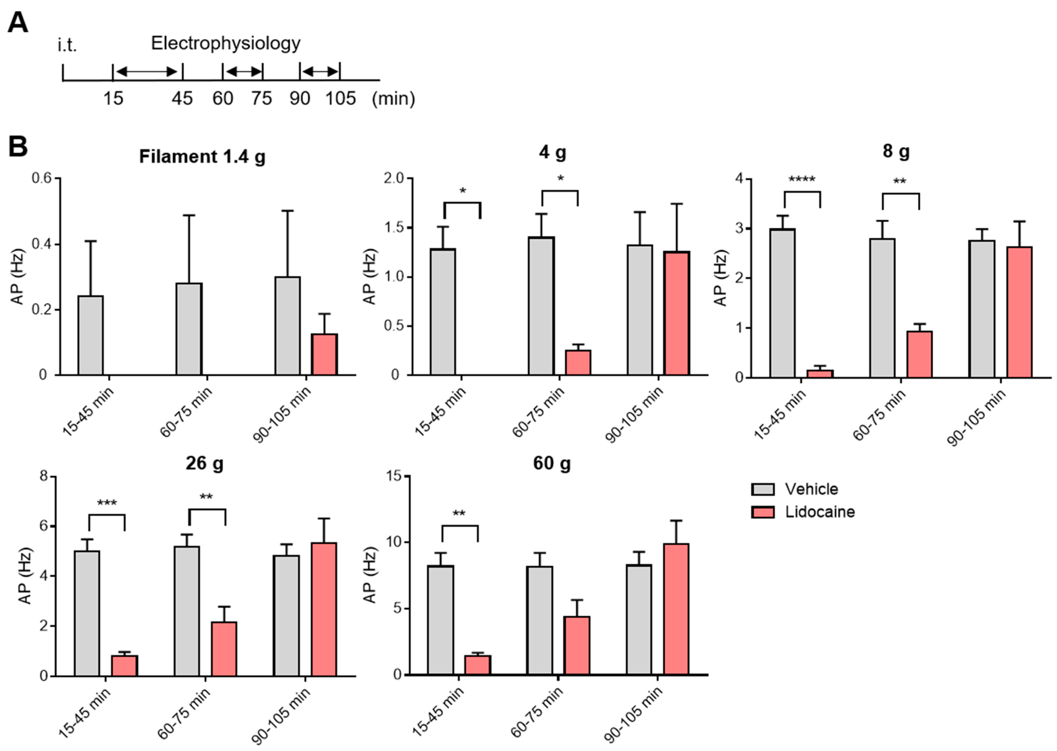 Neurolint 17 00078 g004