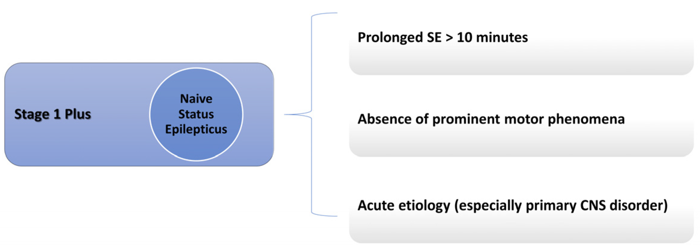 Neurolint 17 00083 g001