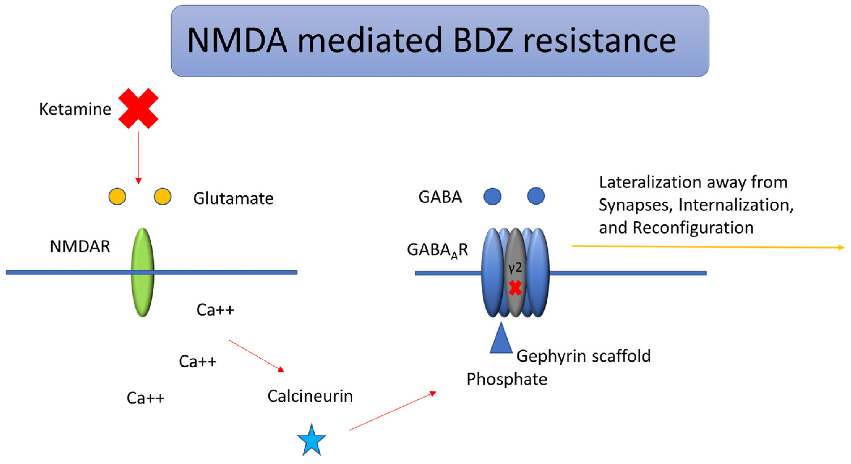 Neurolint 17 00083 g003