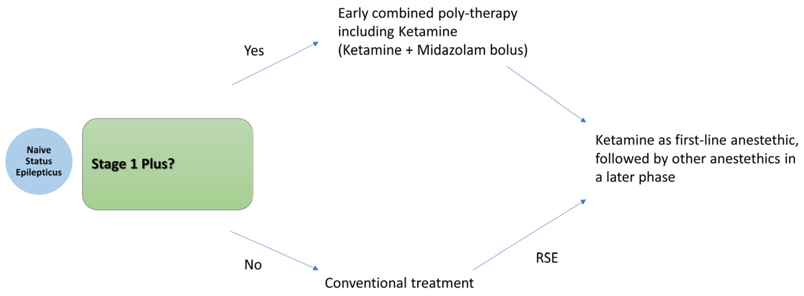 Neurolint 17 00083 g004
