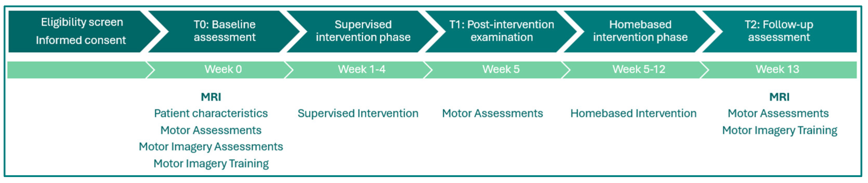 Neurolint 17 00084 g001