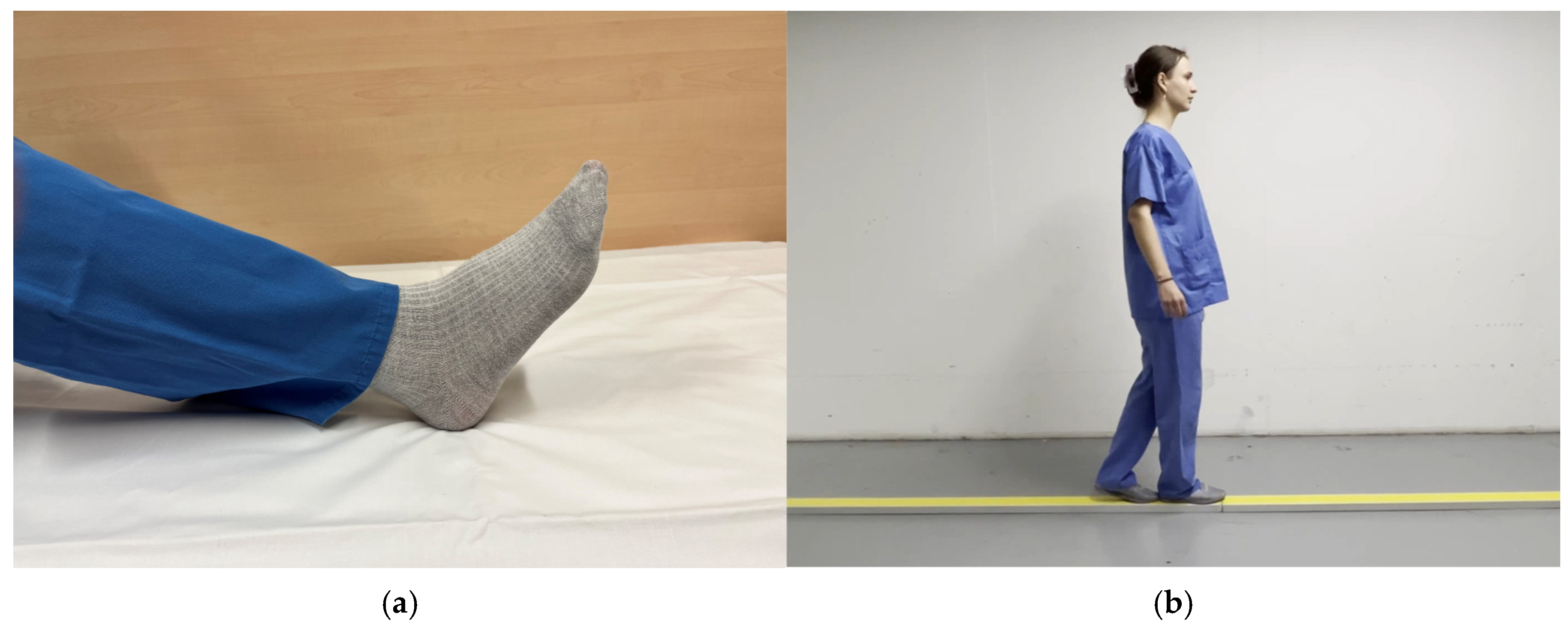 Neurolint 17 00084 g003