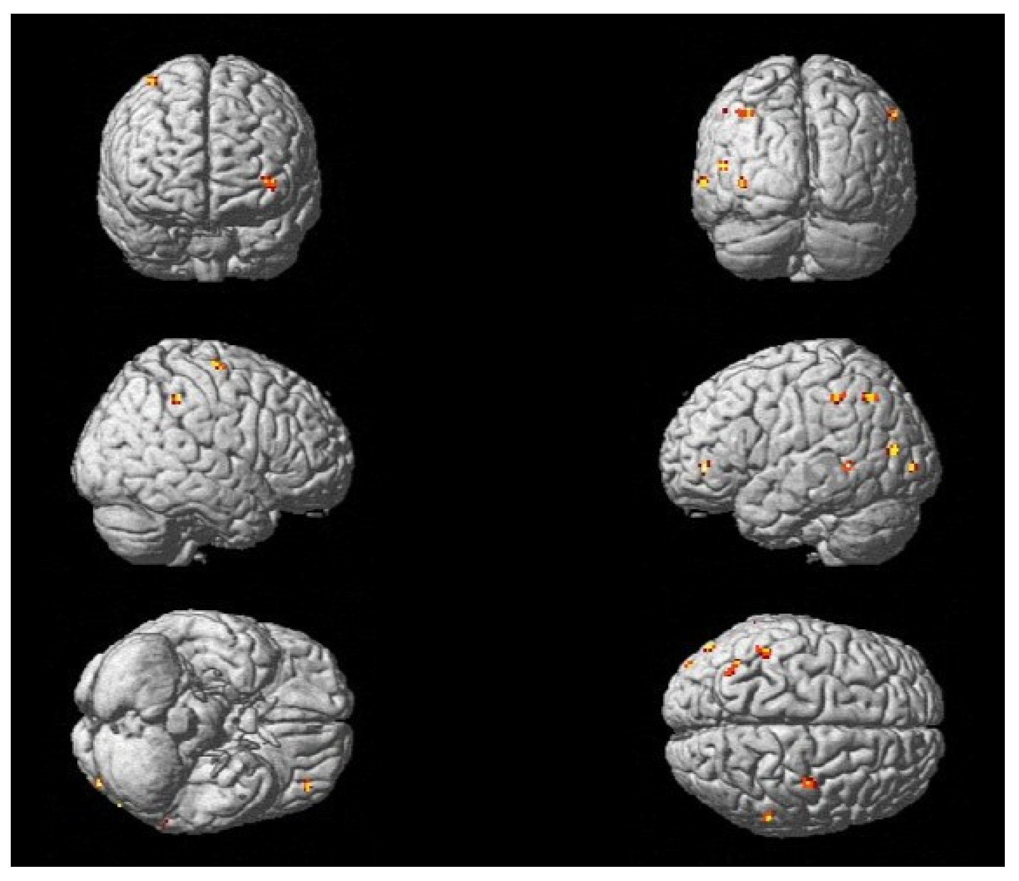 Neurolint 17 00084 g008