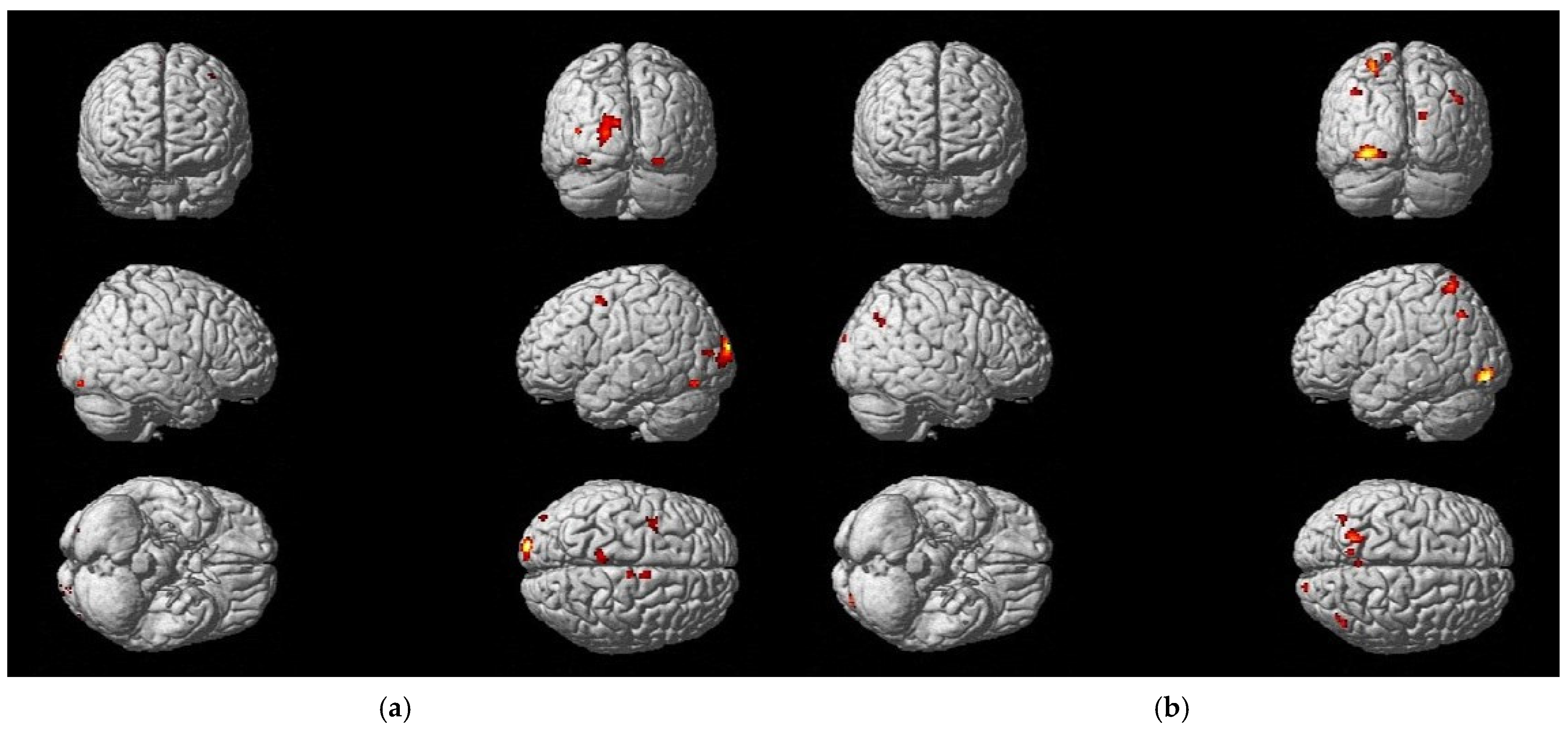 Neurolint 17 00084 g009