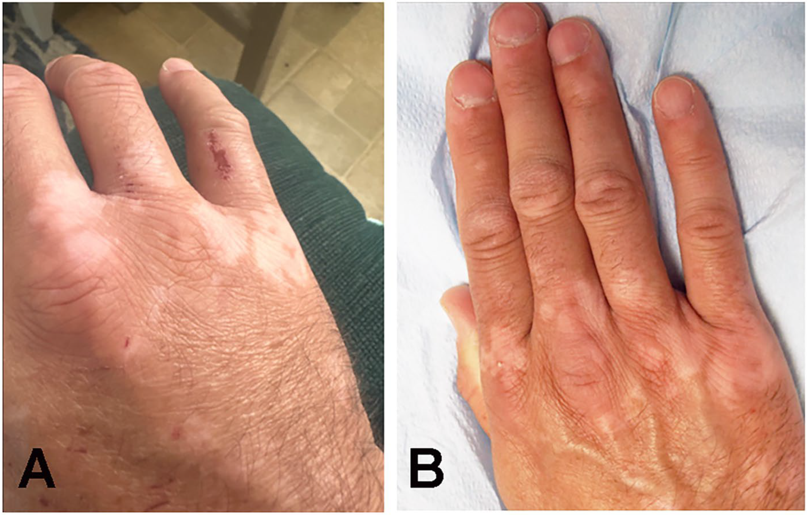 Neurolint 17 00097 g002