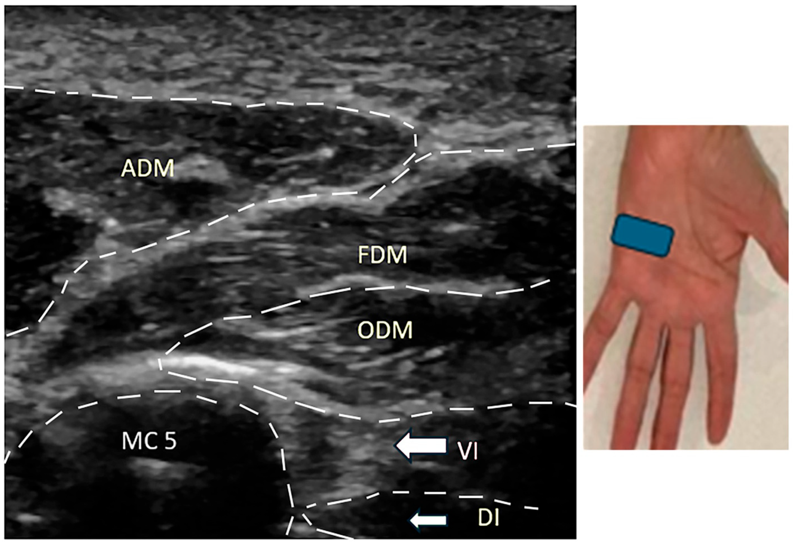 Neurolint 17 00097 g003