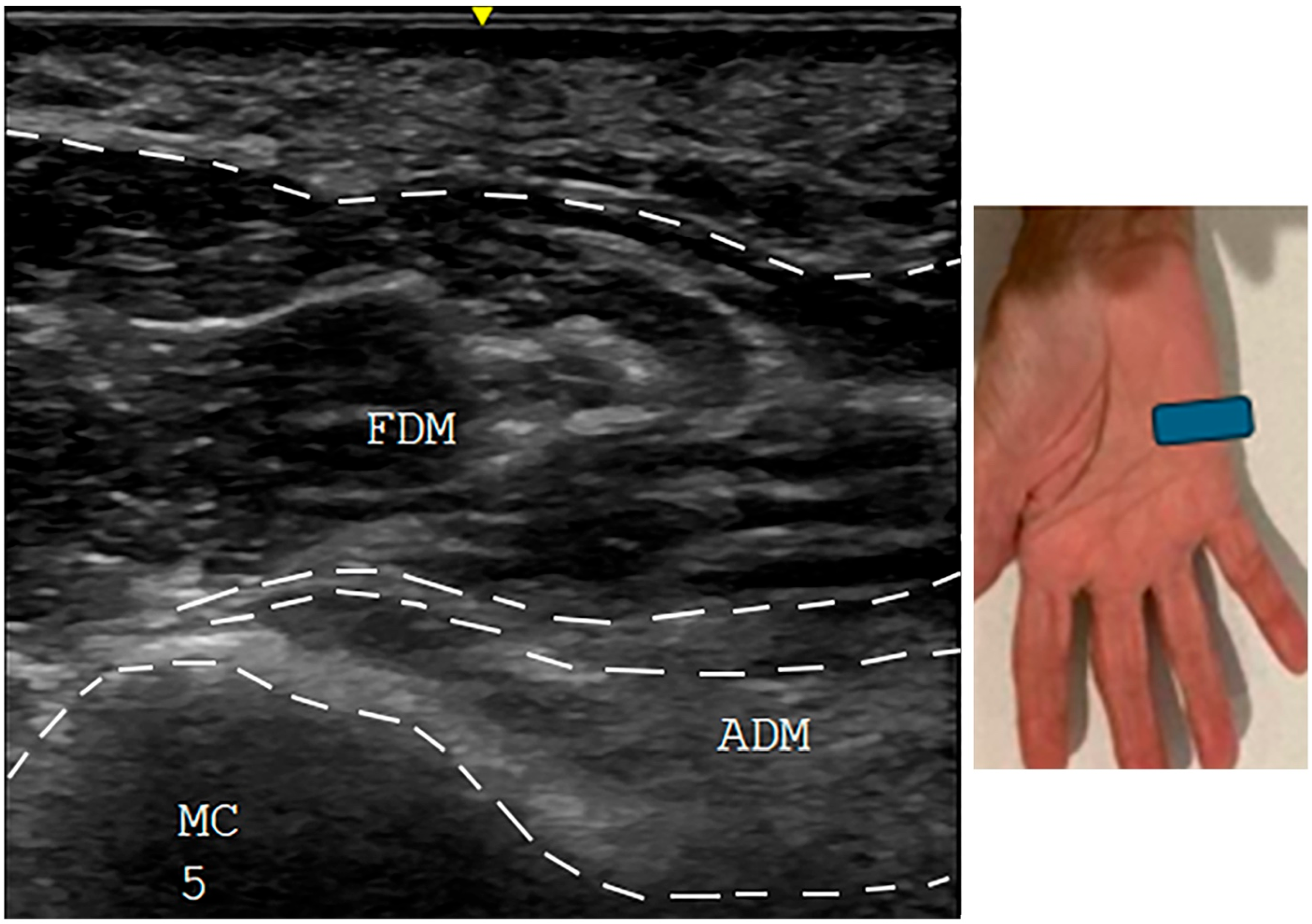 Neurolint 17 00097 g004
